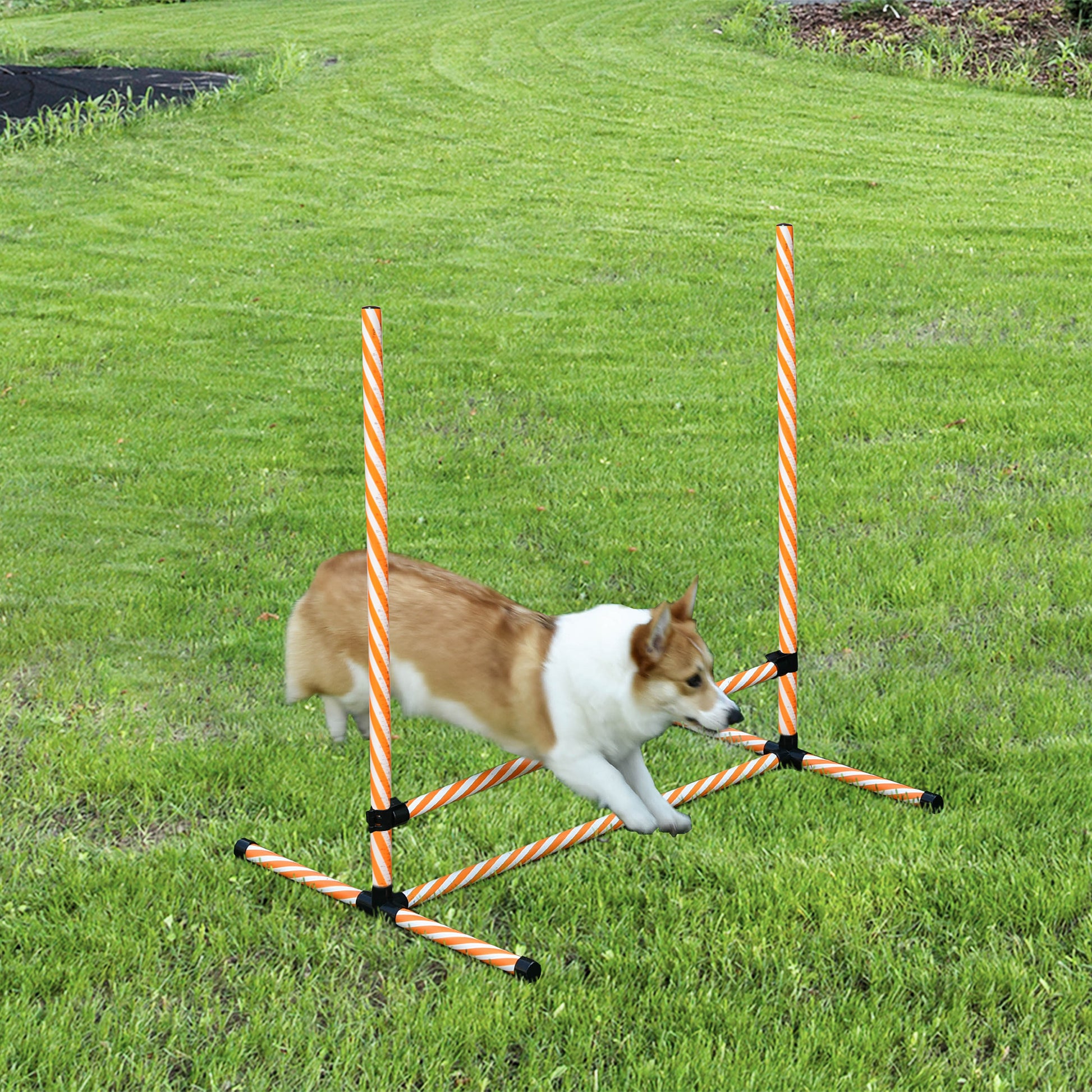 Orange and white striped dog agility jump bar set outdoors