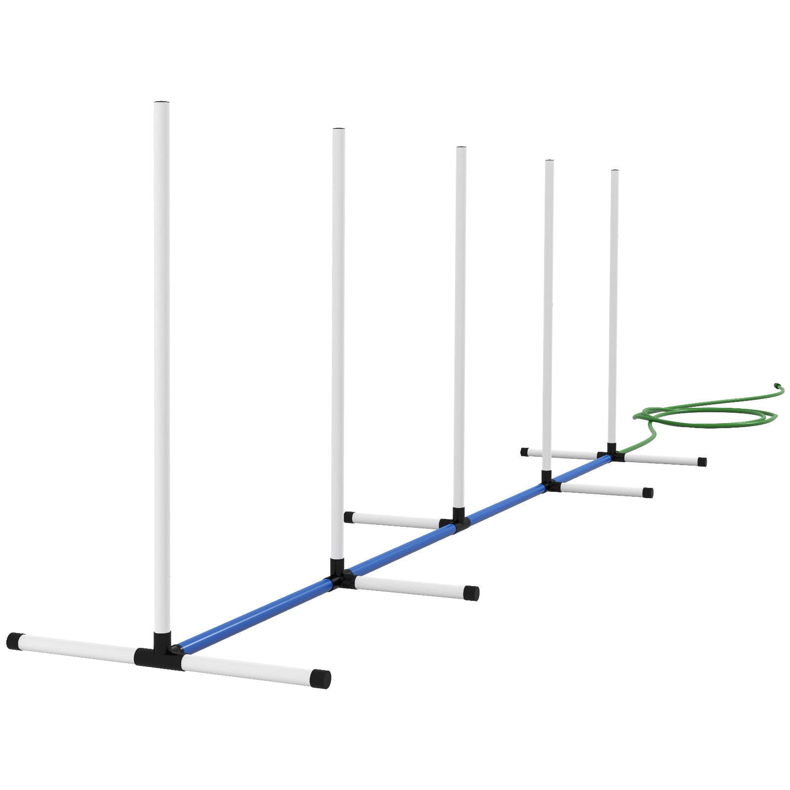 White dog agility poles with blue connector tubes and green tether for training exercises