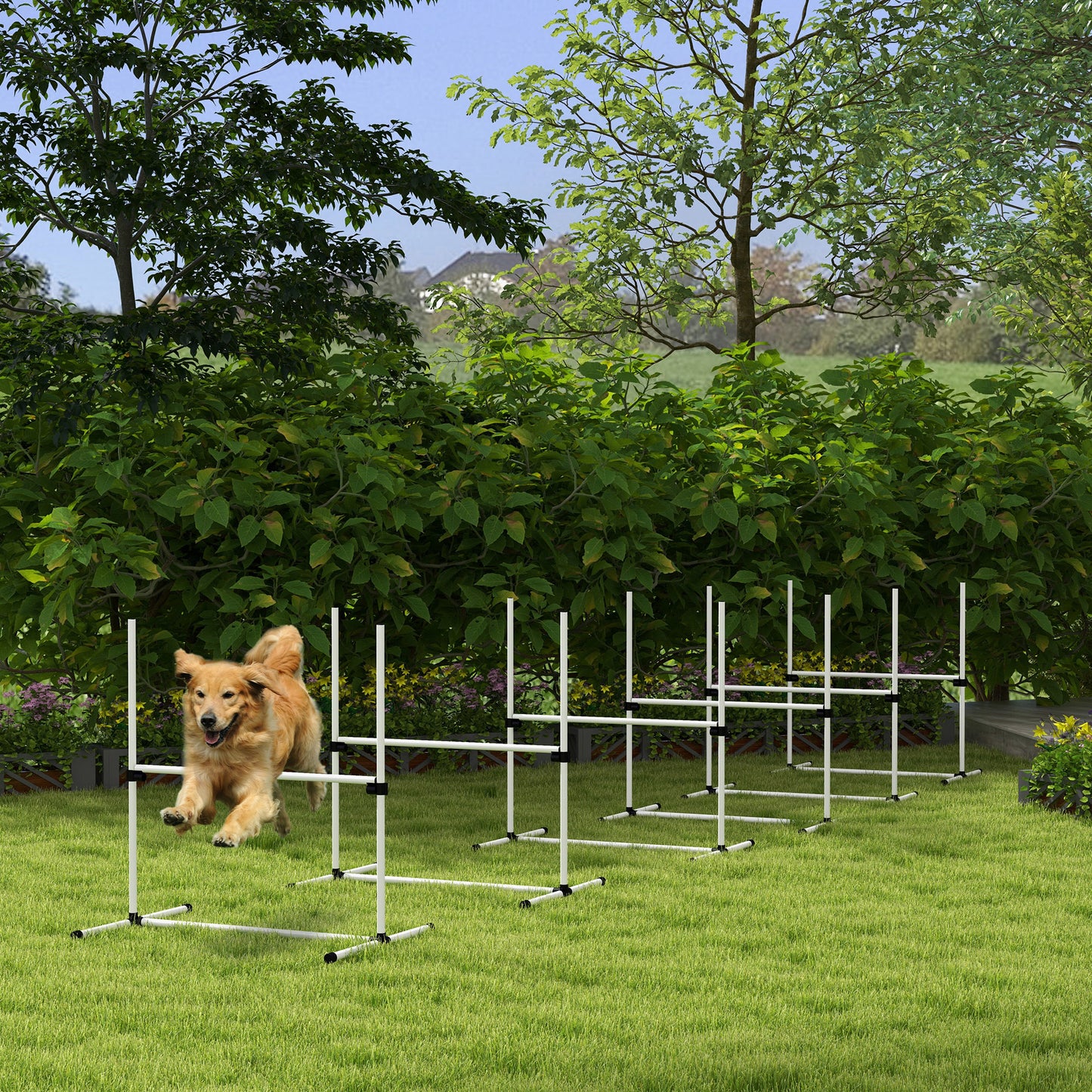 Golden retriever dog jumping over an agility hurdle in a backyard setting