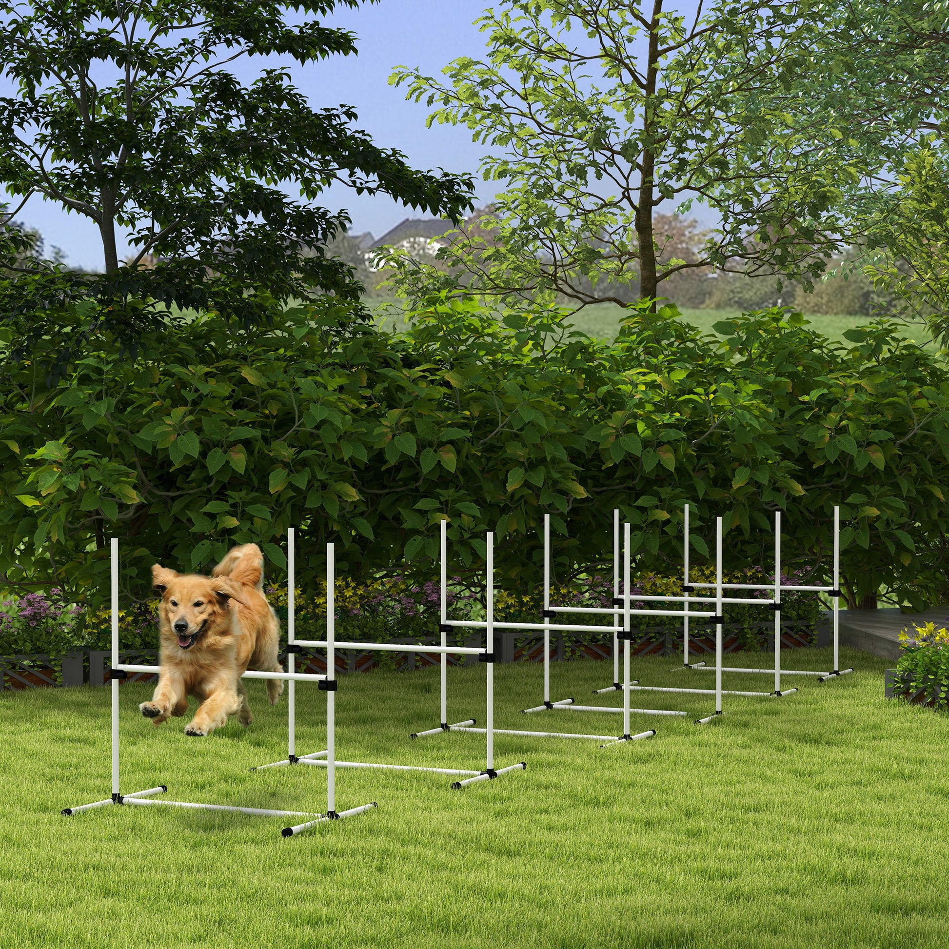 Golden retriever dog jumping over an agility hurdle in a backyard setting