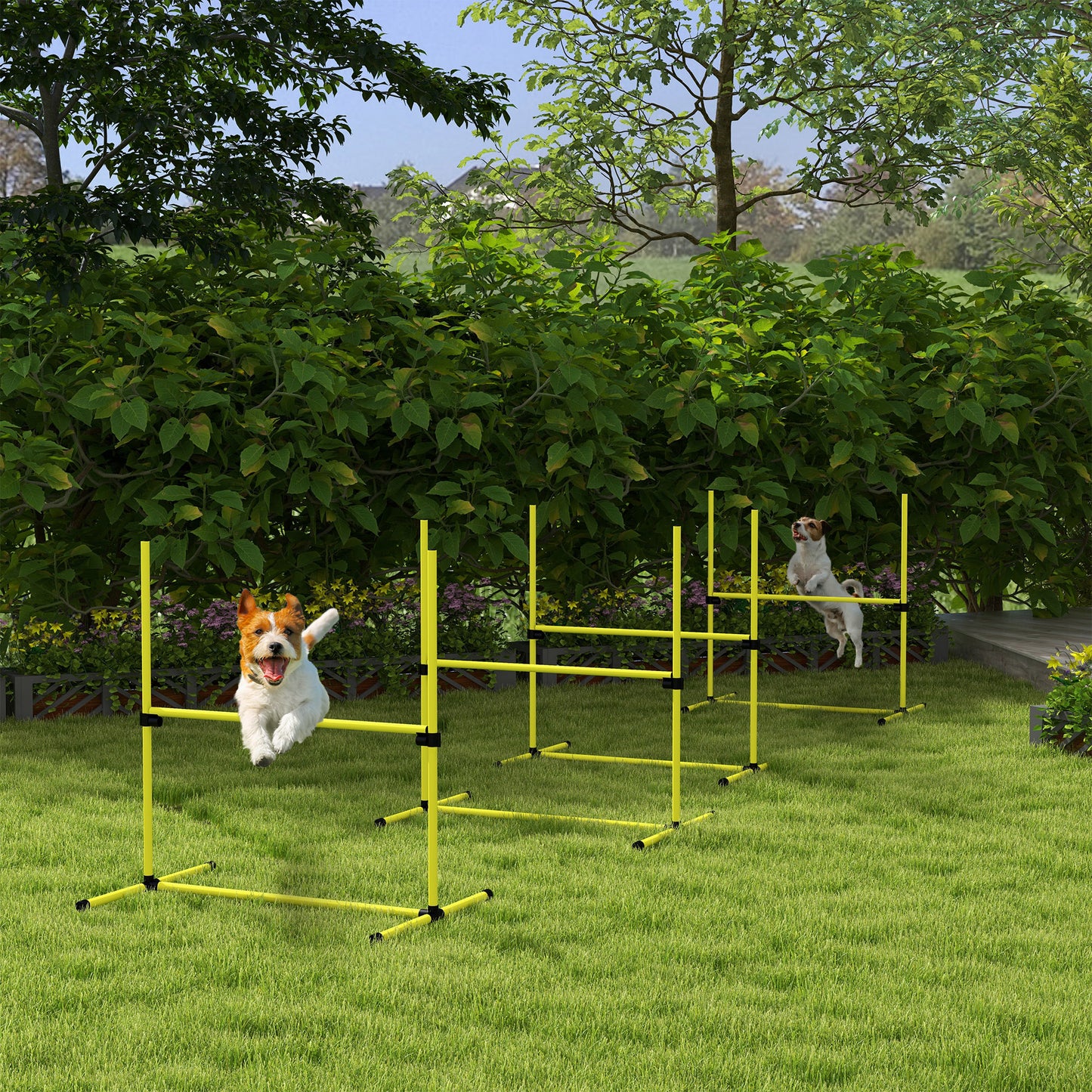 Jack Russell Terrier leaping over yellow dog agility jump in a backyard setting