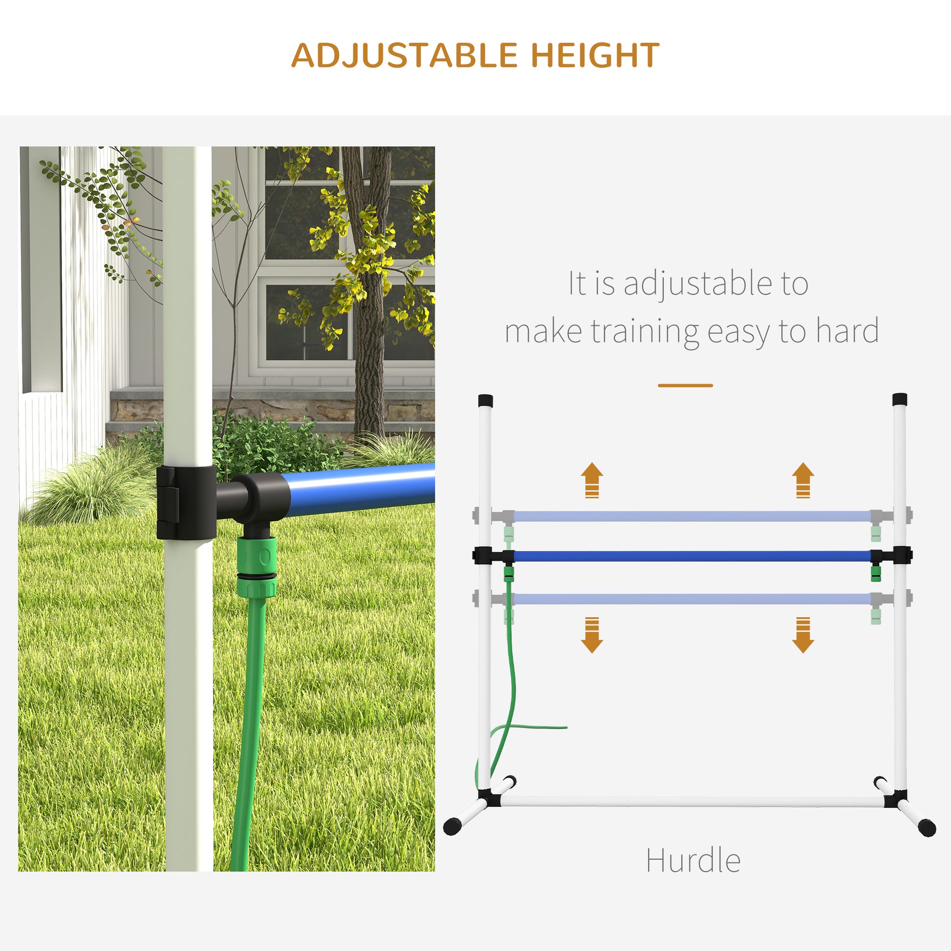 Closeup of adjustable dog hurdle with blue and light blue bars for agility training