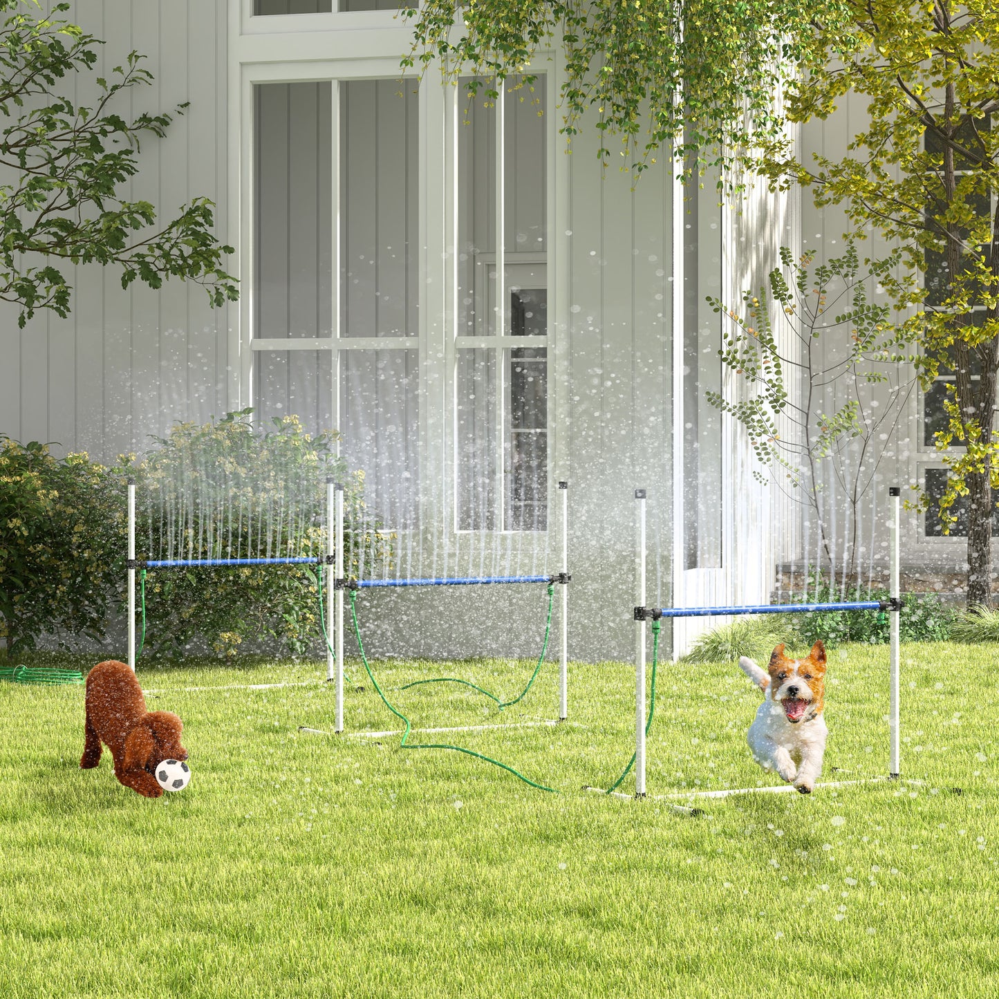 Brown poodle playing soccer with a dog agility jump in the background