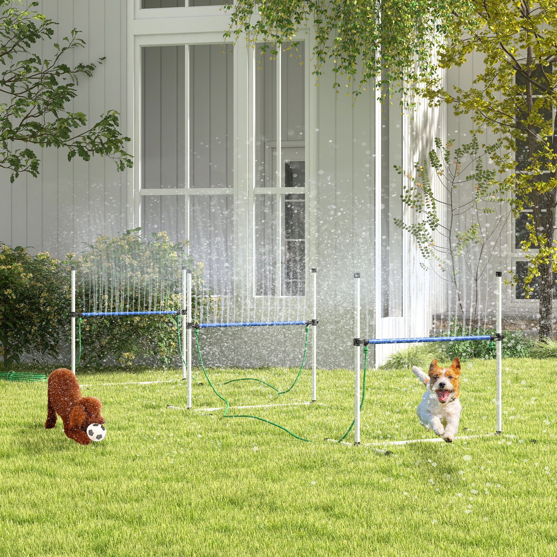 Brown poodle playing soccer with a dog agility jump in the background