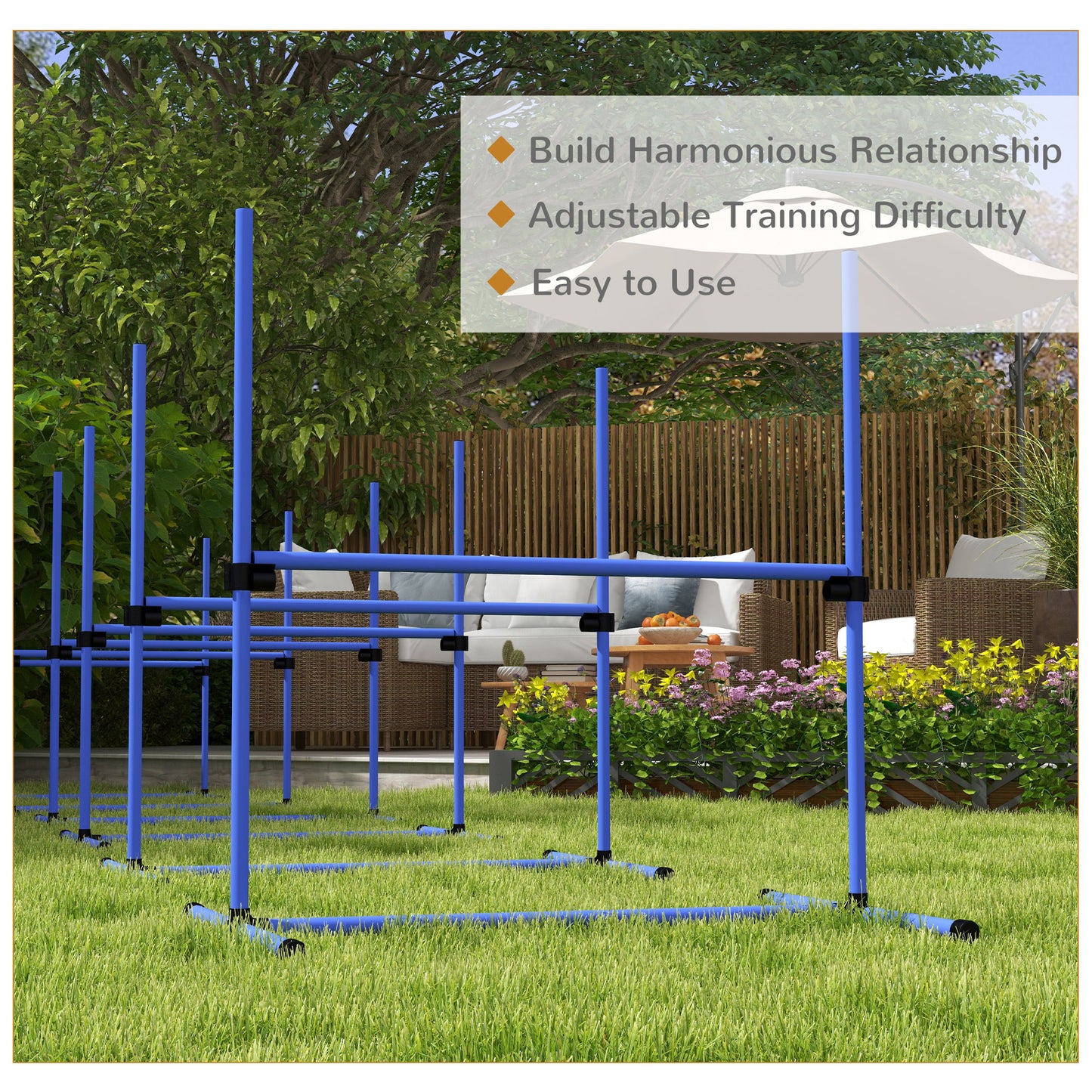 Blue dog agility hurdles set up on green grass with outdoor furniture in background