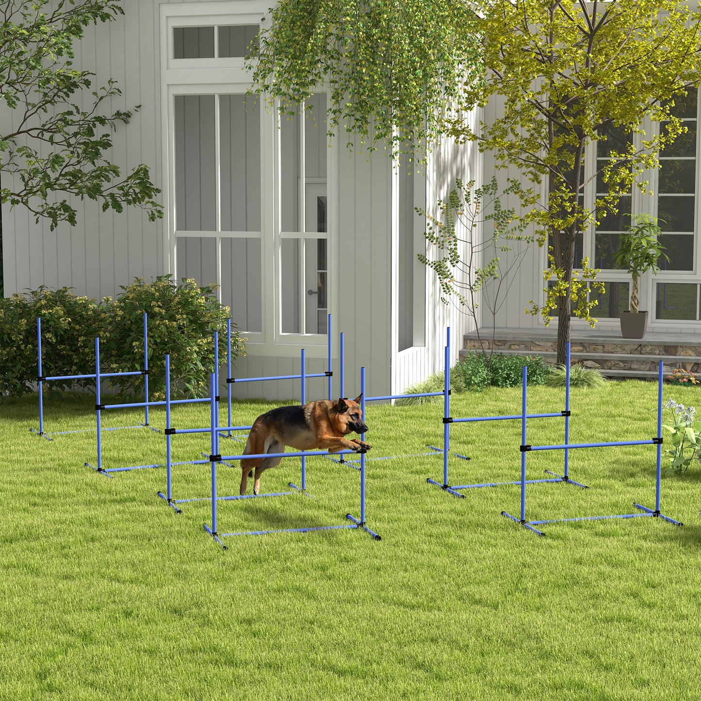 Blue agility jump set with a German Shepherd midleap on a green lawn