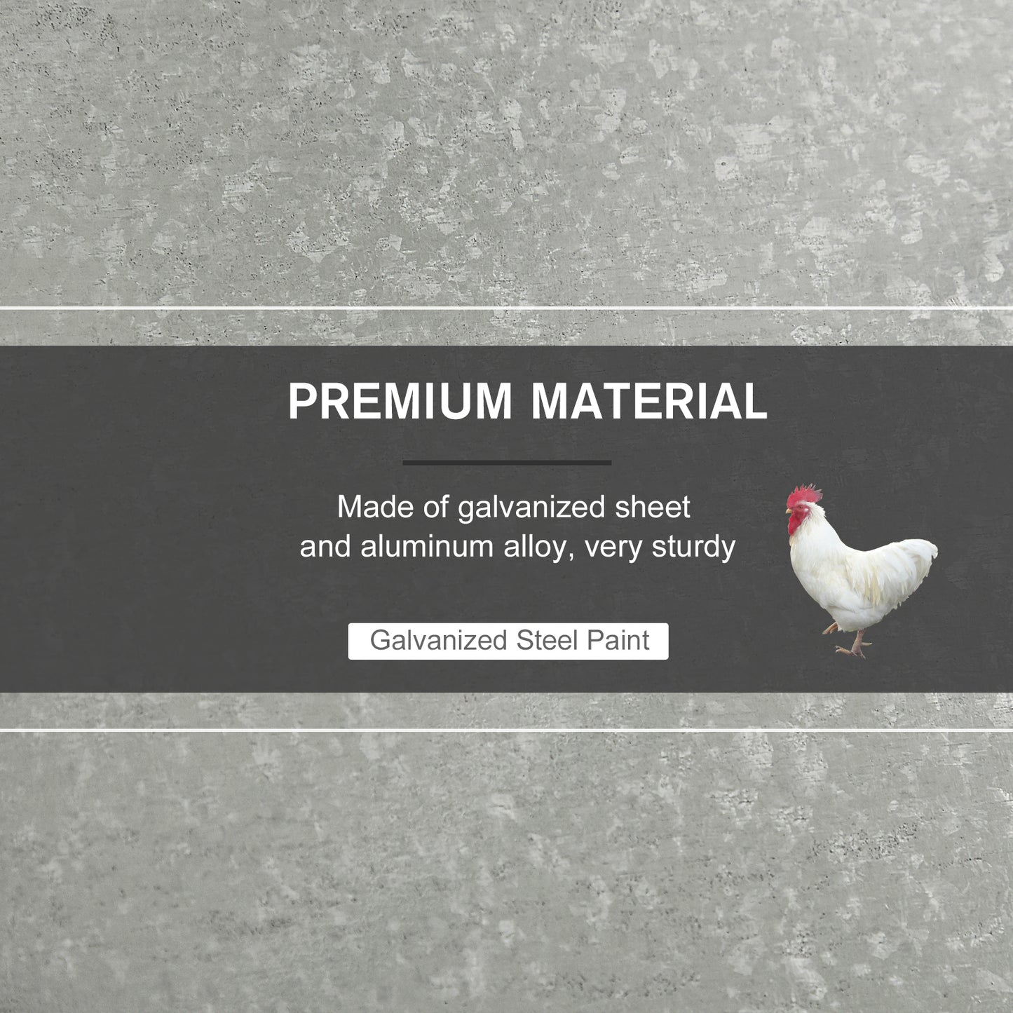 White rooster standing on textured gray background next to Galvanized Steel Paint text