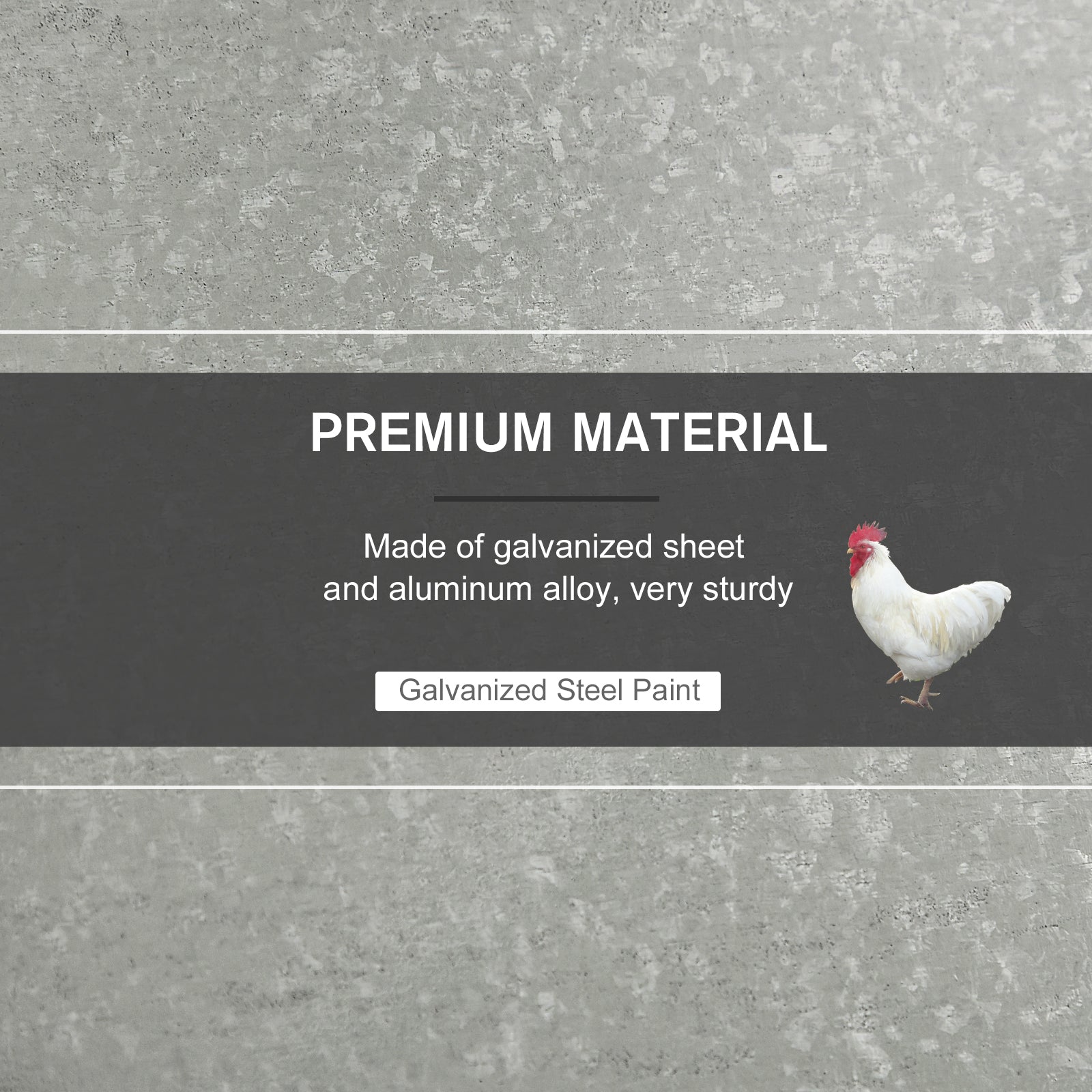 White rooster standing on textured gray background next to Galvanized Steel Paint text