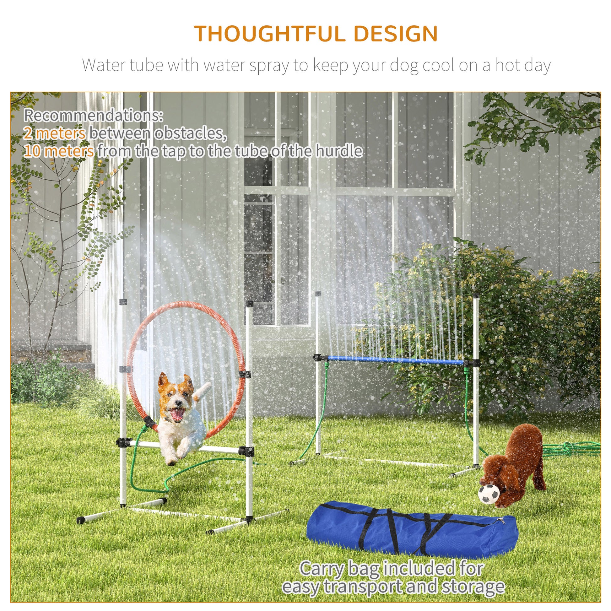 White and orange dog jumping through agility hoop with water spray