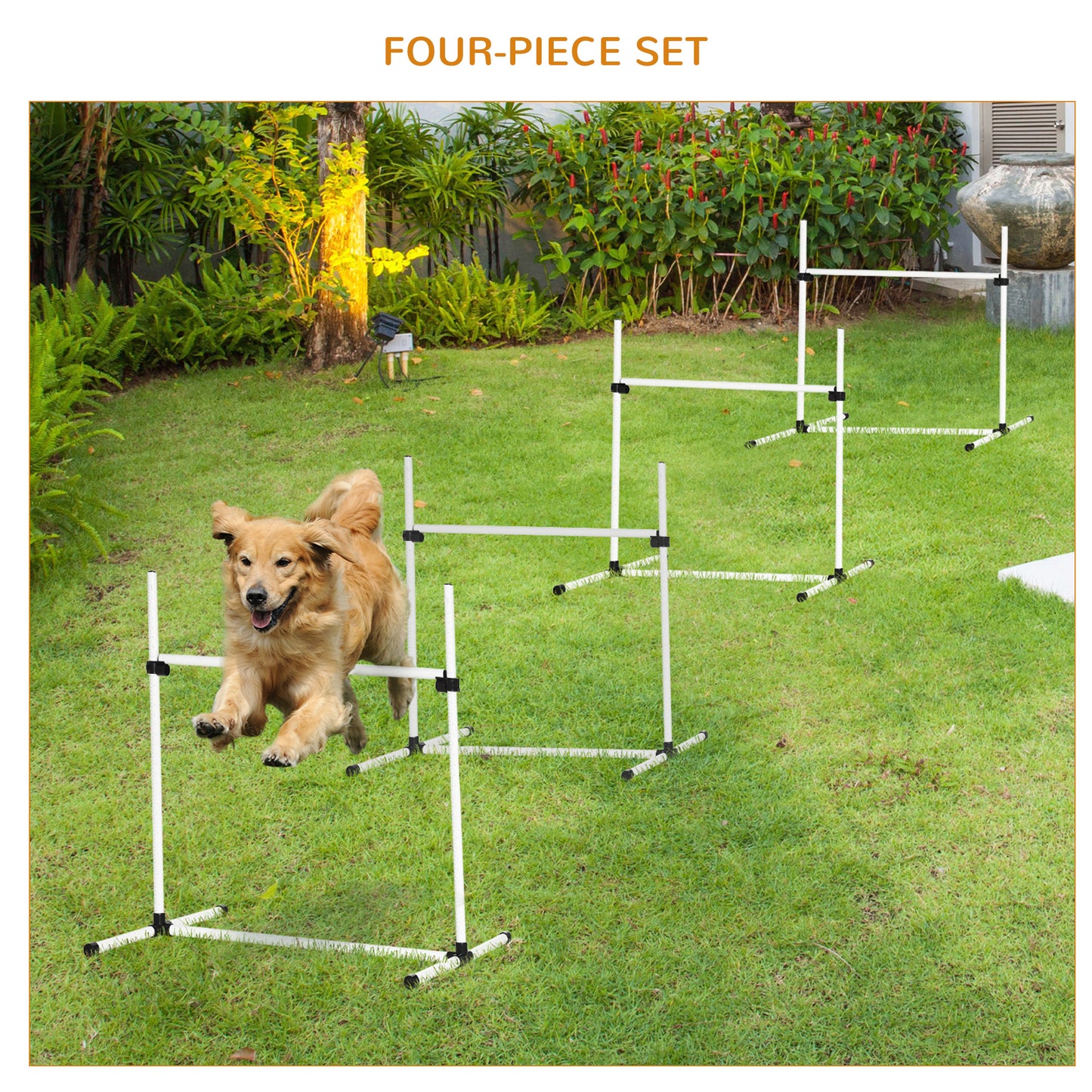 Golden retriever dog jumping over a white agility hurdle during training