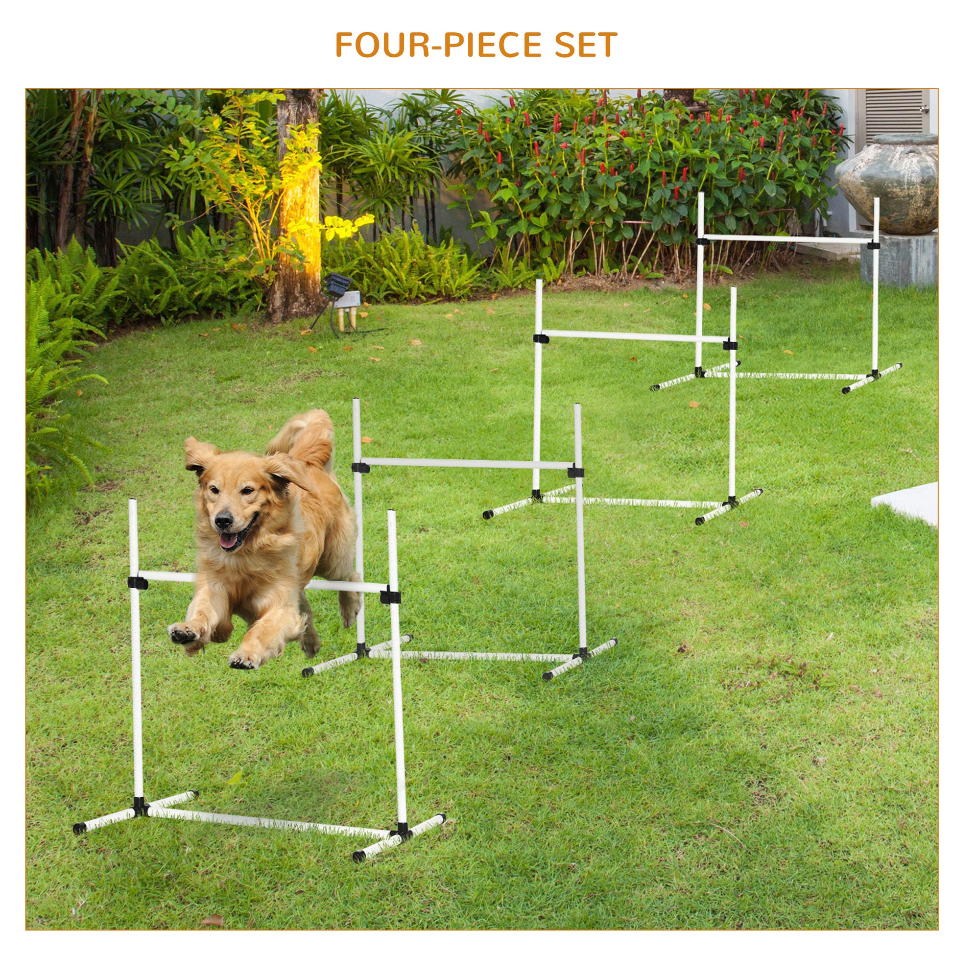Golden retriever dog jumping over a white agility hurdle during training