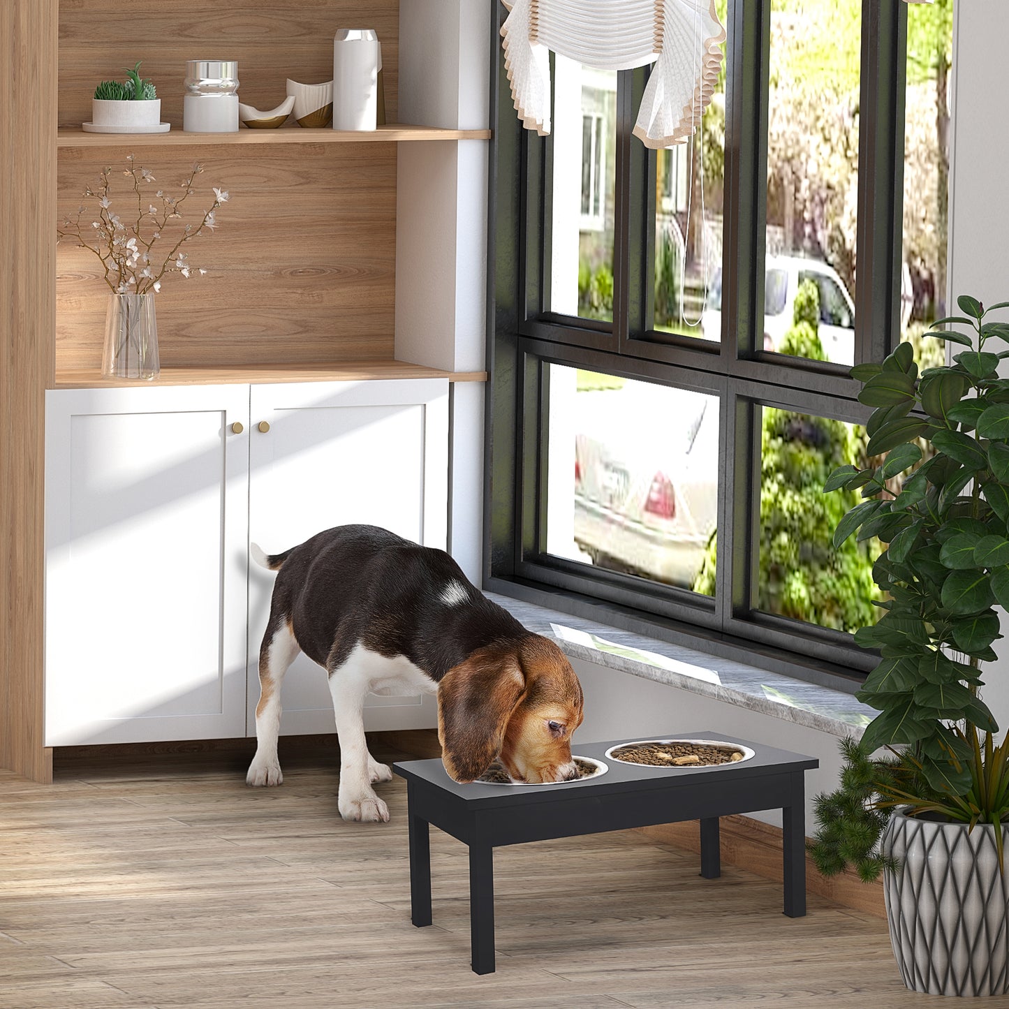 Beagle puppy eating from a modern elevated black dog feeder with two stainless steel bowls