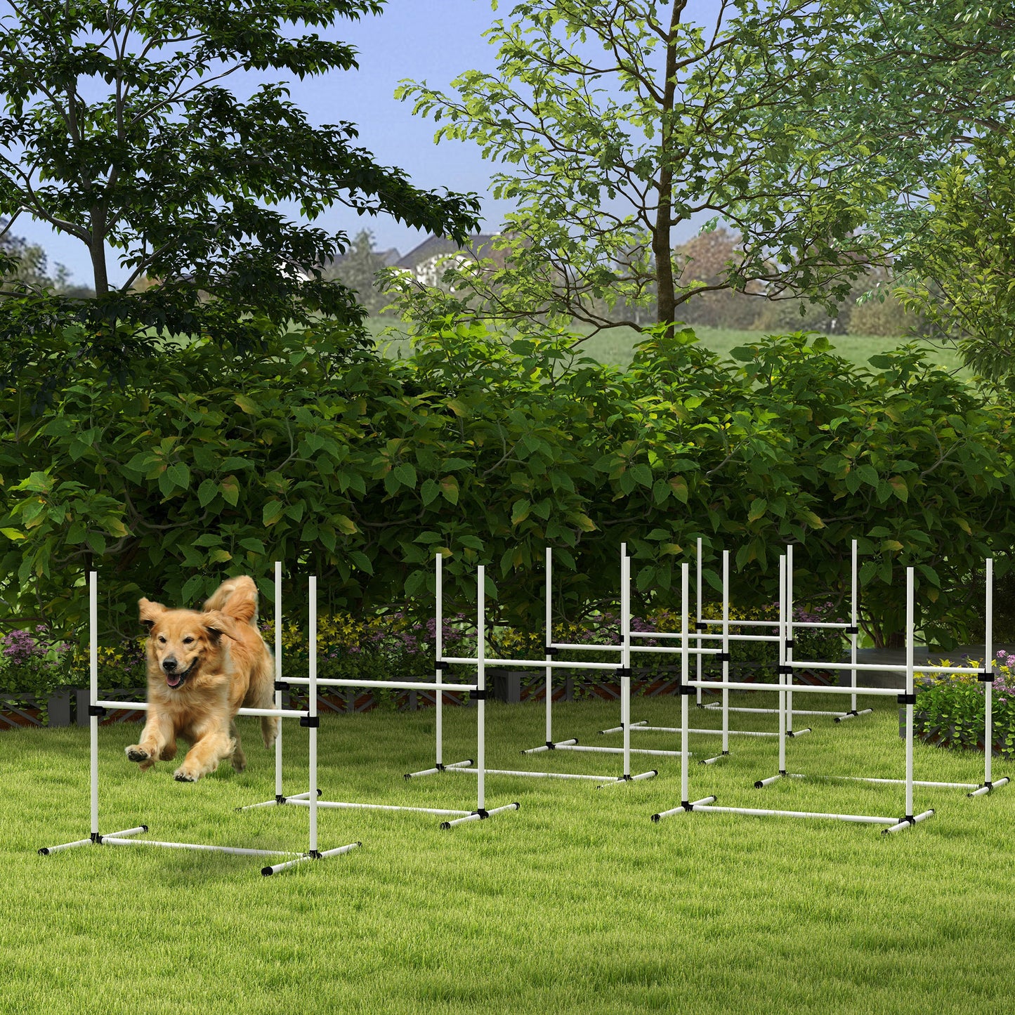 Golden retriever leaps over white agility bar jump on grassy lawn for dog training