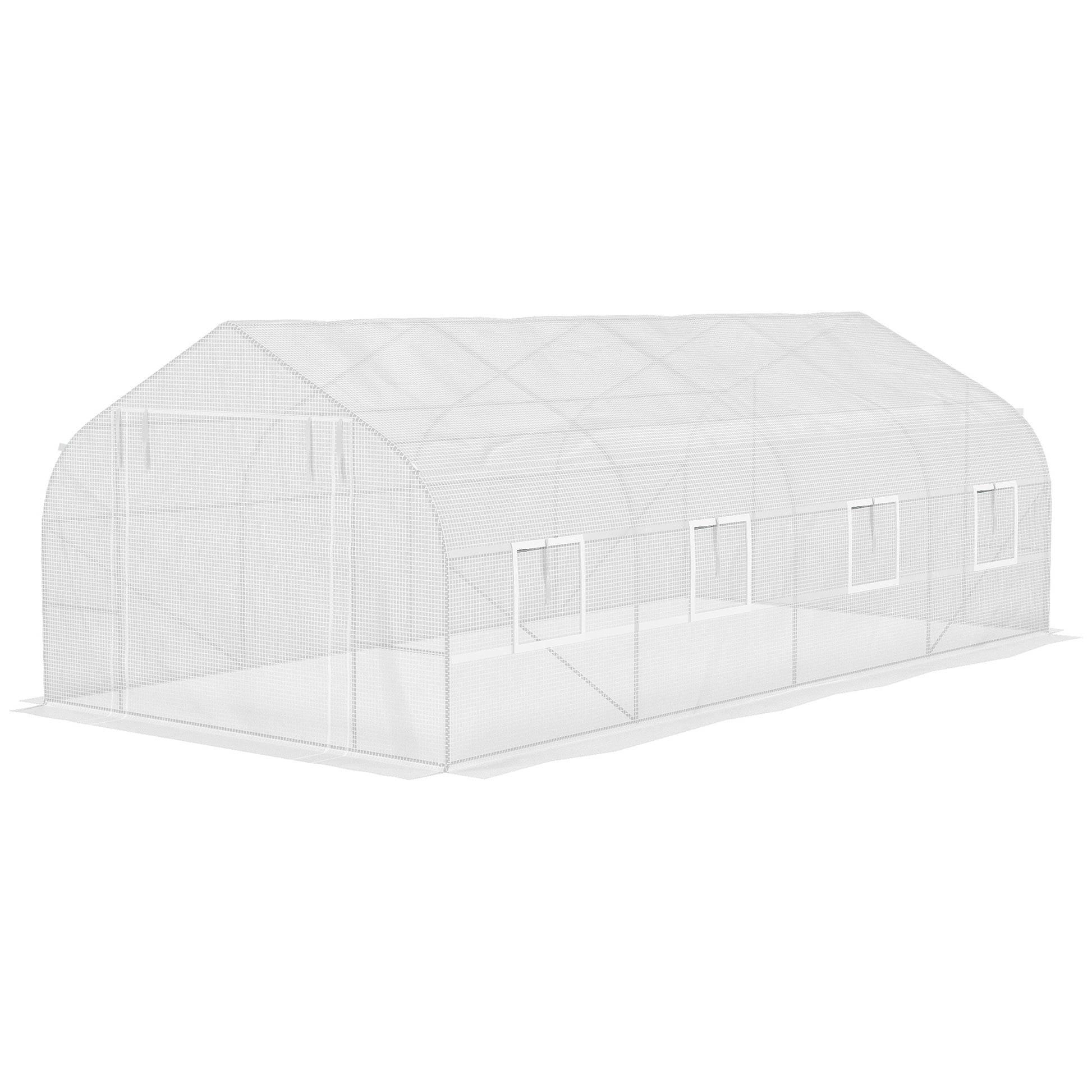 White walkin greenhouse with steel frame and PE cover for yearround gardening