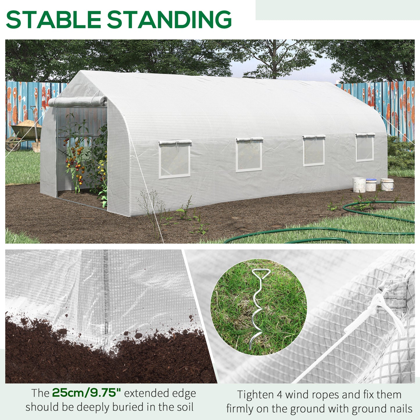 White tunnel greenhouse with rollup door and windows growing tomatoes inside