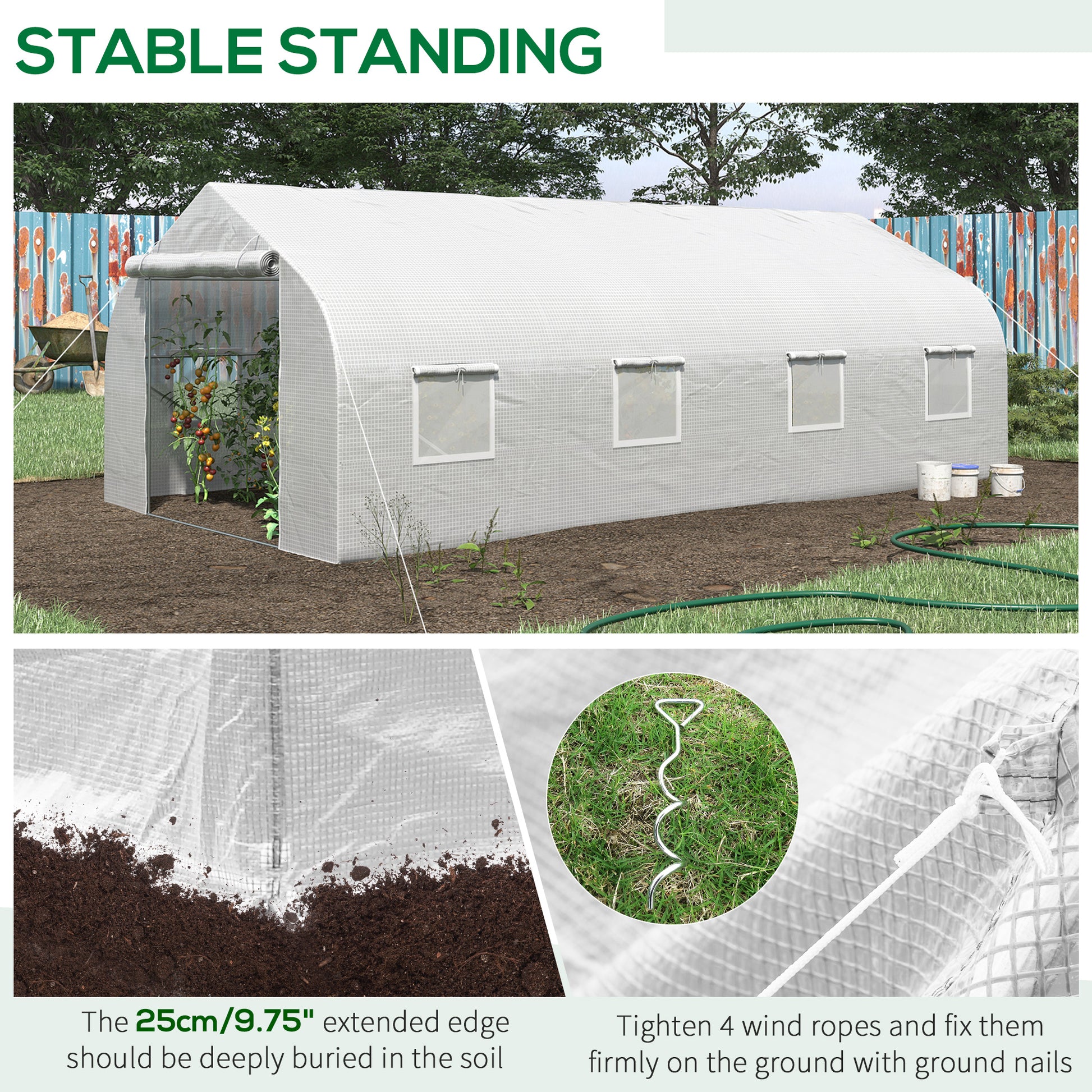 White tunnel greenhouse with rollup door and windows growing tomatoes inside