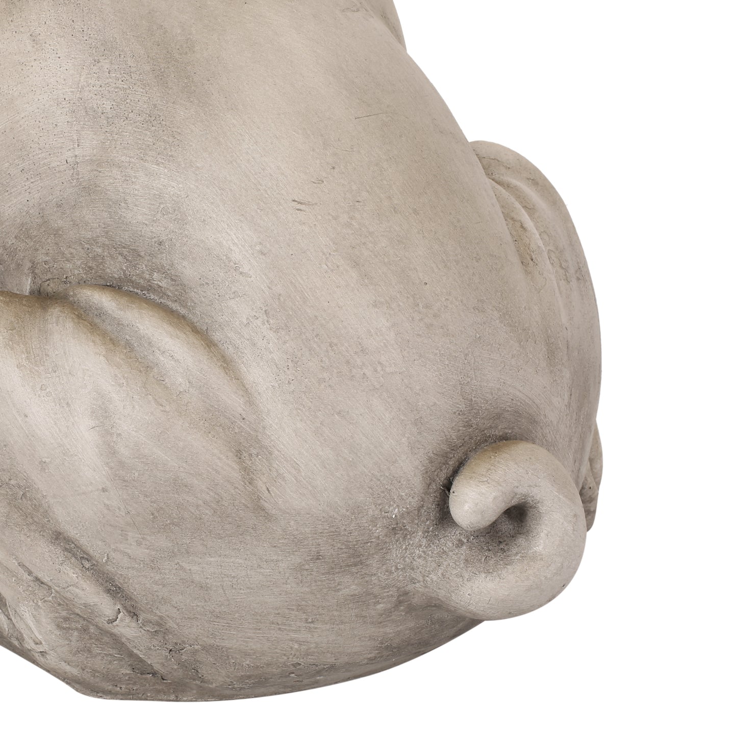 Textured concrete garden statue of a playful pugs tail curled