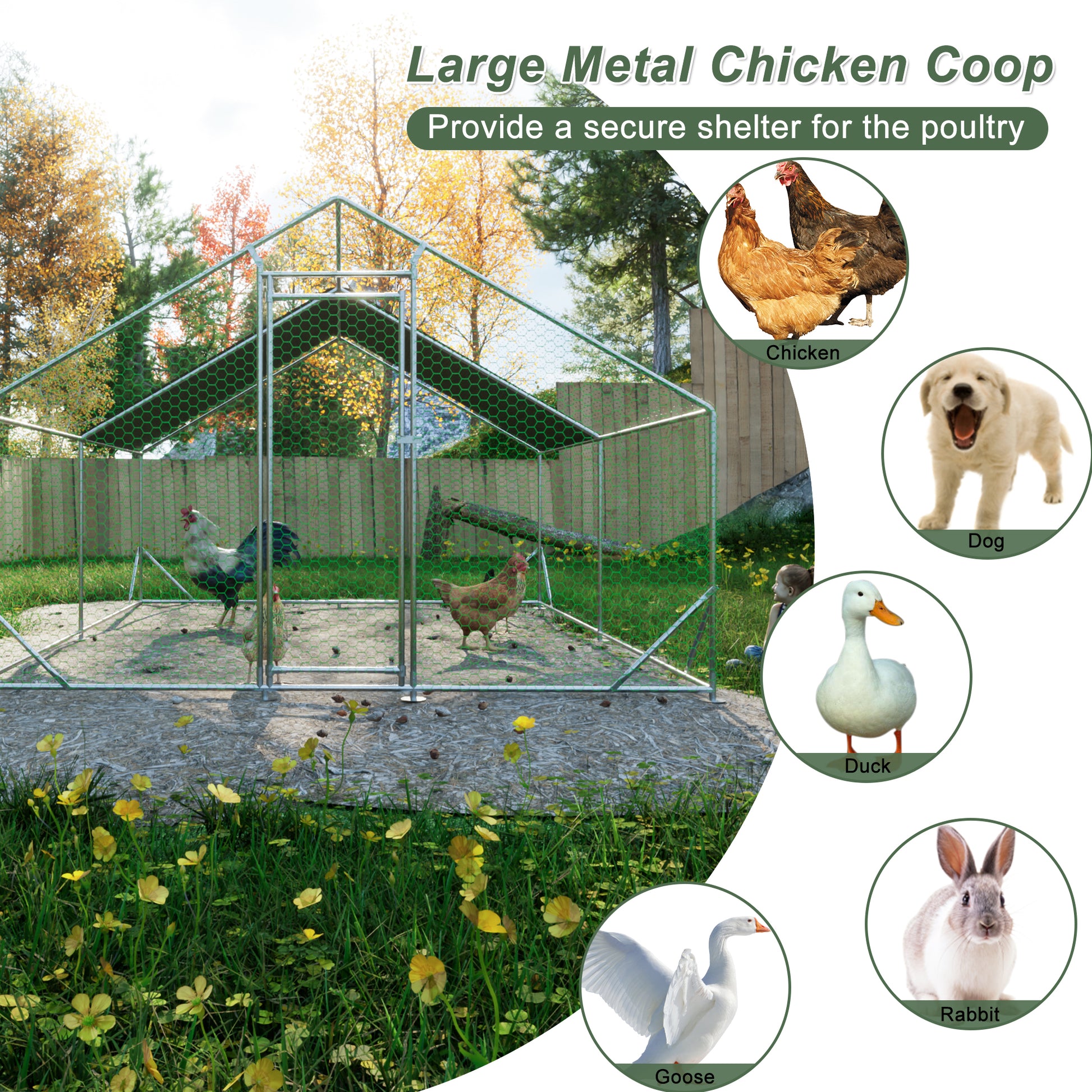 Large metal chicken coop with wire mesh enclosure and poultry inside