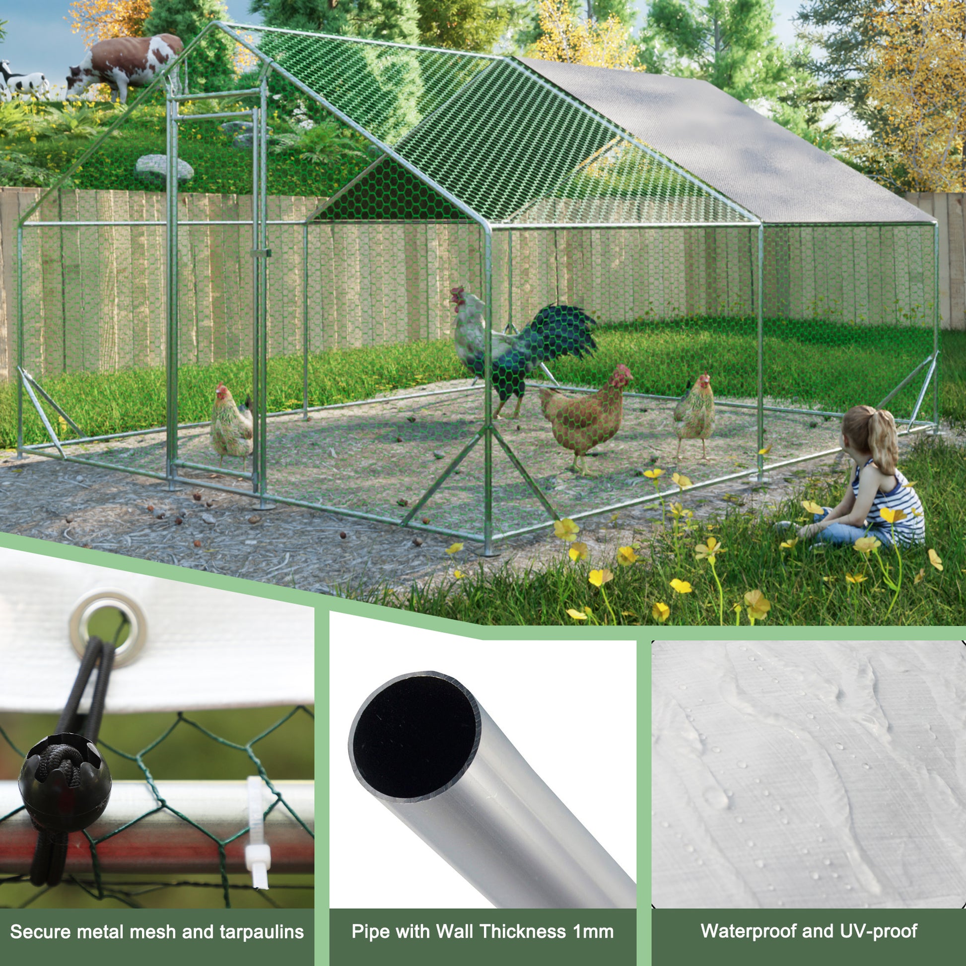 Spacious metal chicken coop with roof multiple chickens and a rooster outdoors