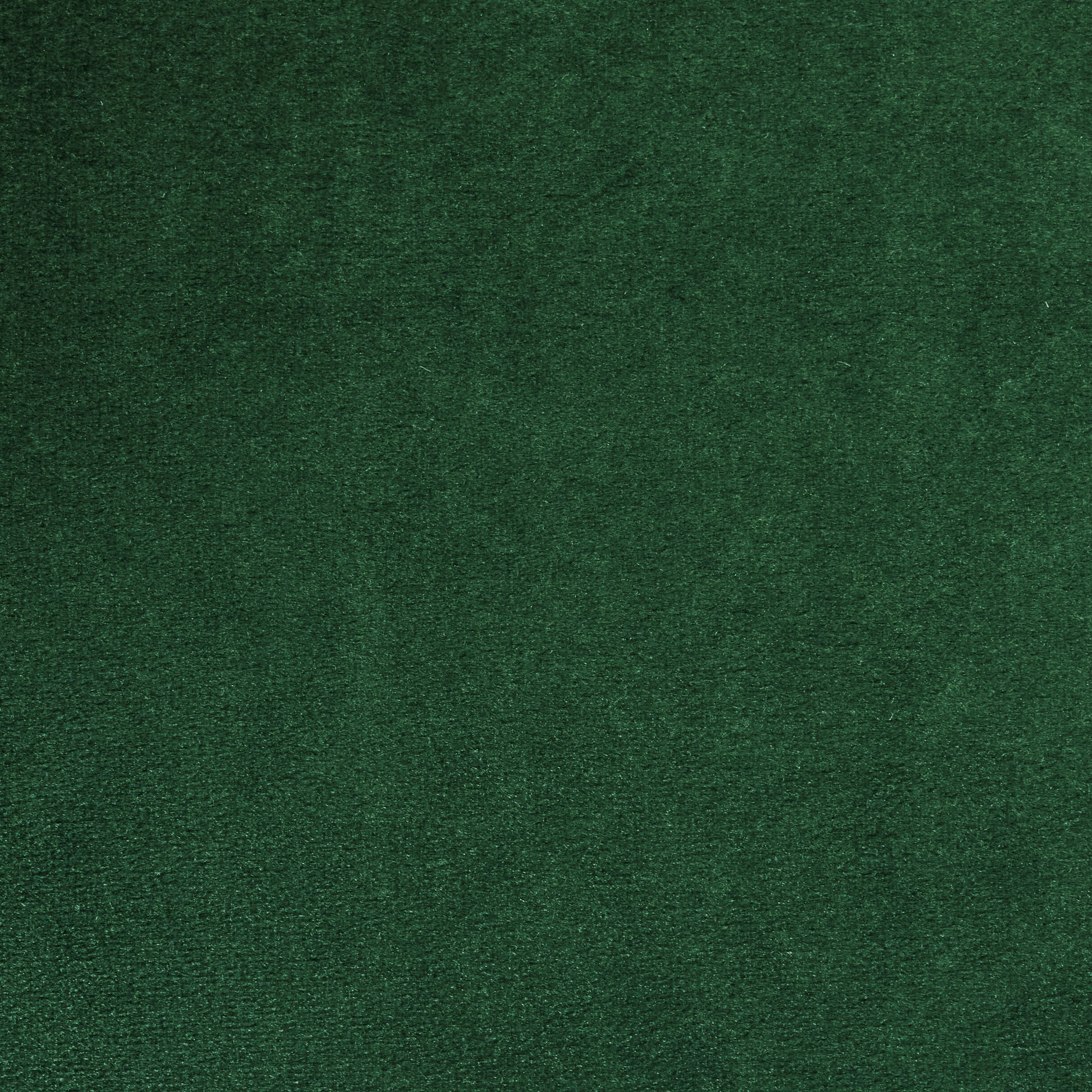 Deep green velvet fabric swatch with a soft plush texture