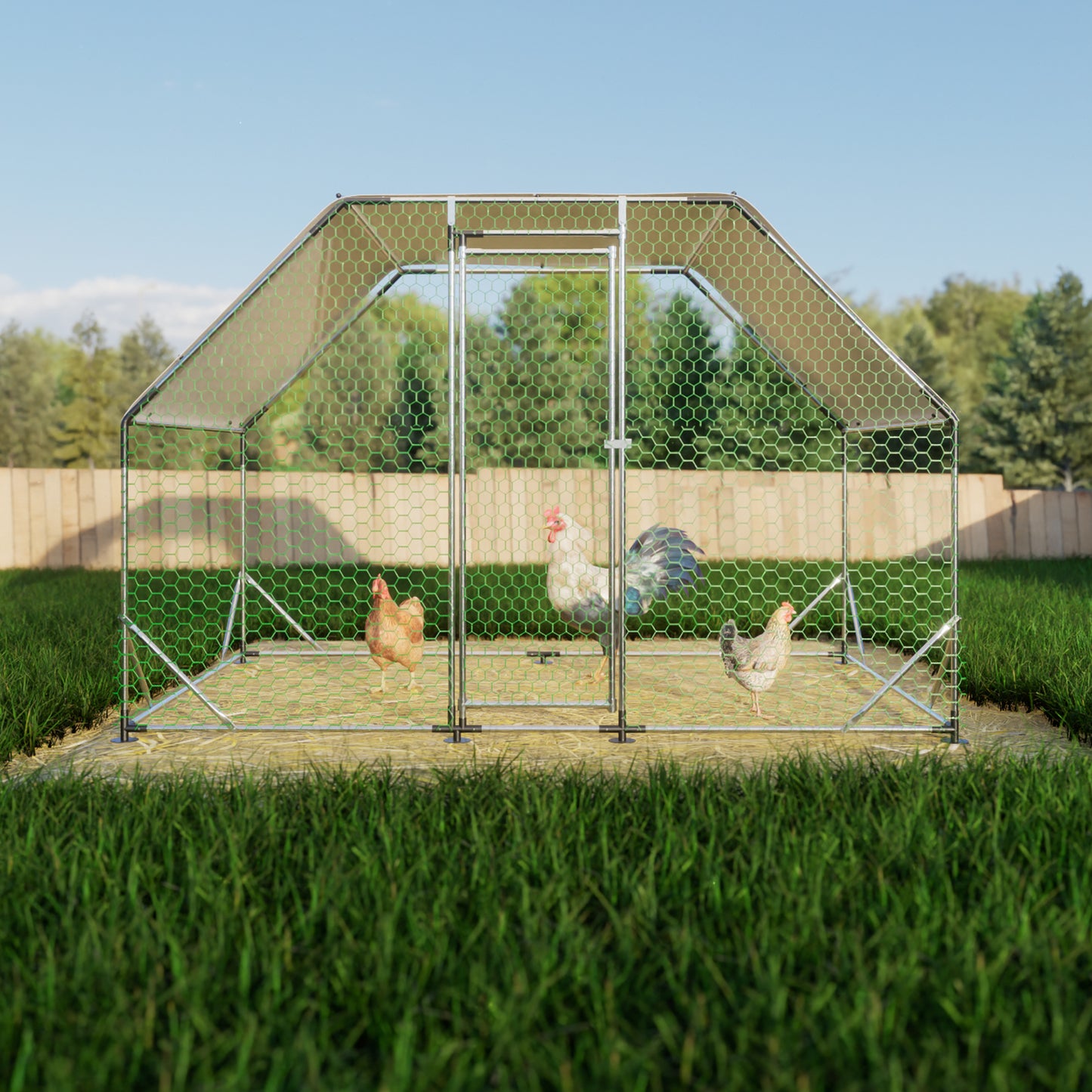 Spacious chicken coop with hexagonal mesh and three chickens enjoying the outdoors