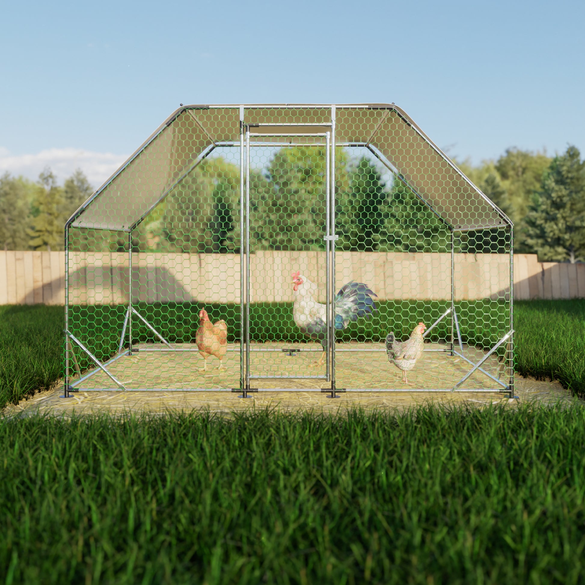 Spacious chicken coop with hexagonal mesh and three chickens enjoying the outdoors