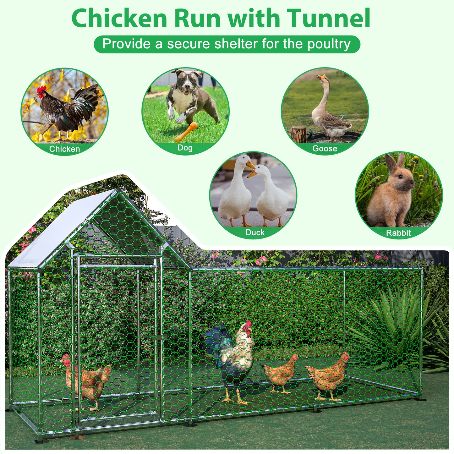 Green metal chicken coop with hexagonal mesh suitable for backyard poultry