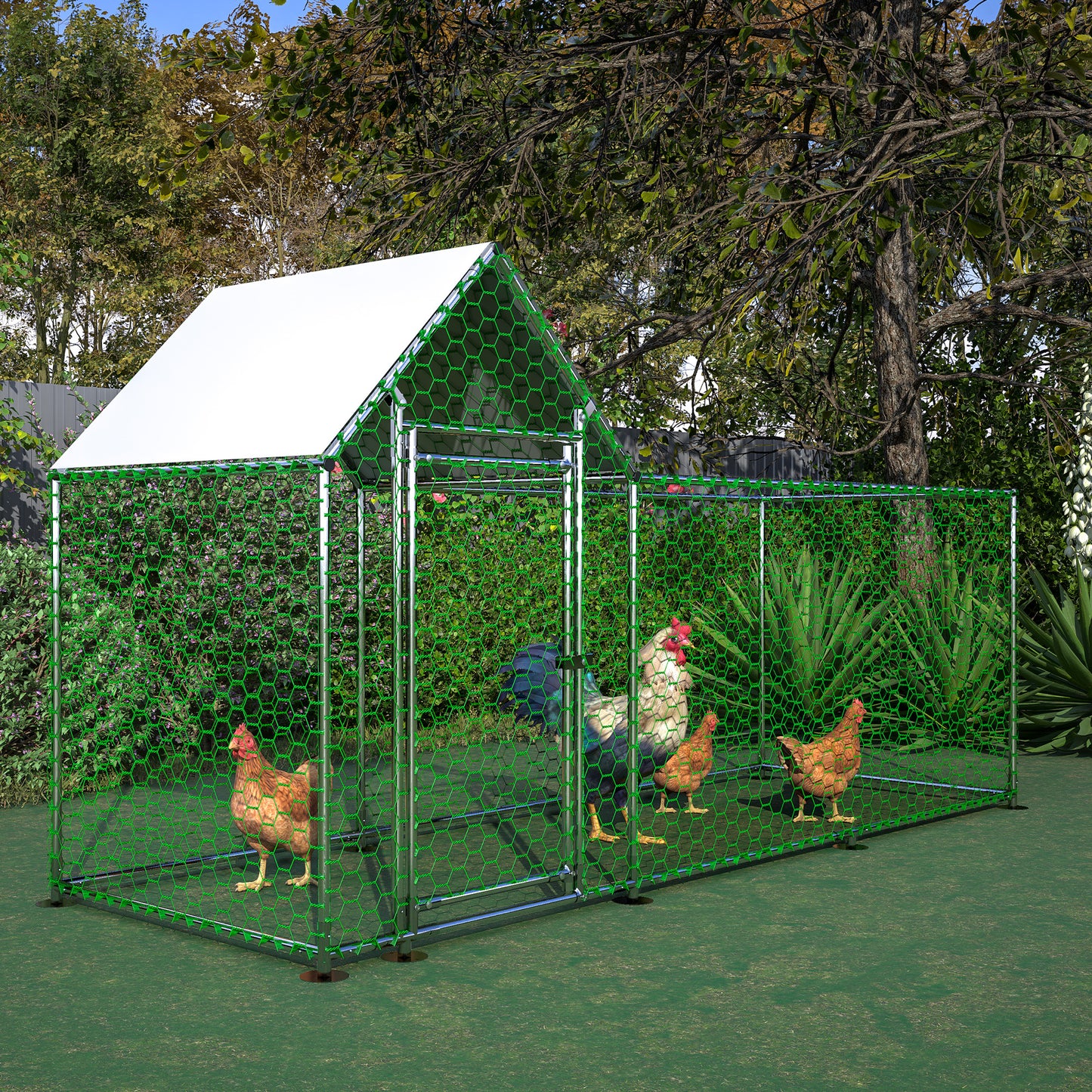 Spacious outdoor chicken coop with metal frame and green hexagonal mesh housing three hens and a rooster
