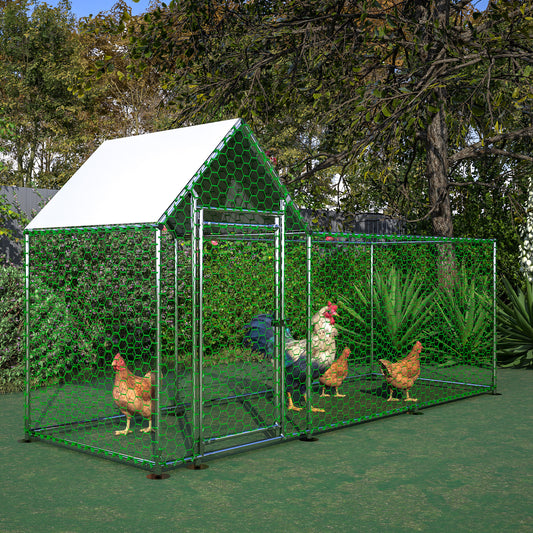 Spacious outdoor chicken coop with metal frame and green hexagonal mesh housing three hens and a rooster