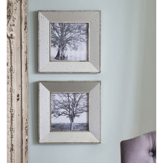Two square decorative wall frames with speckled mirrored borders holding black and white tree prints