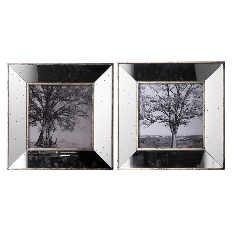 Two square antiqued mirrored photo frames with black and white tree prints