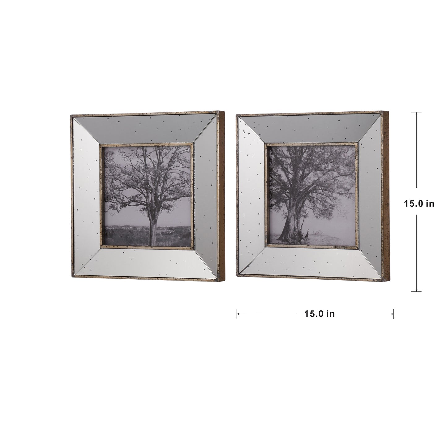 Set of  rustic distressed silver mirrored photo frames with black and white tree art