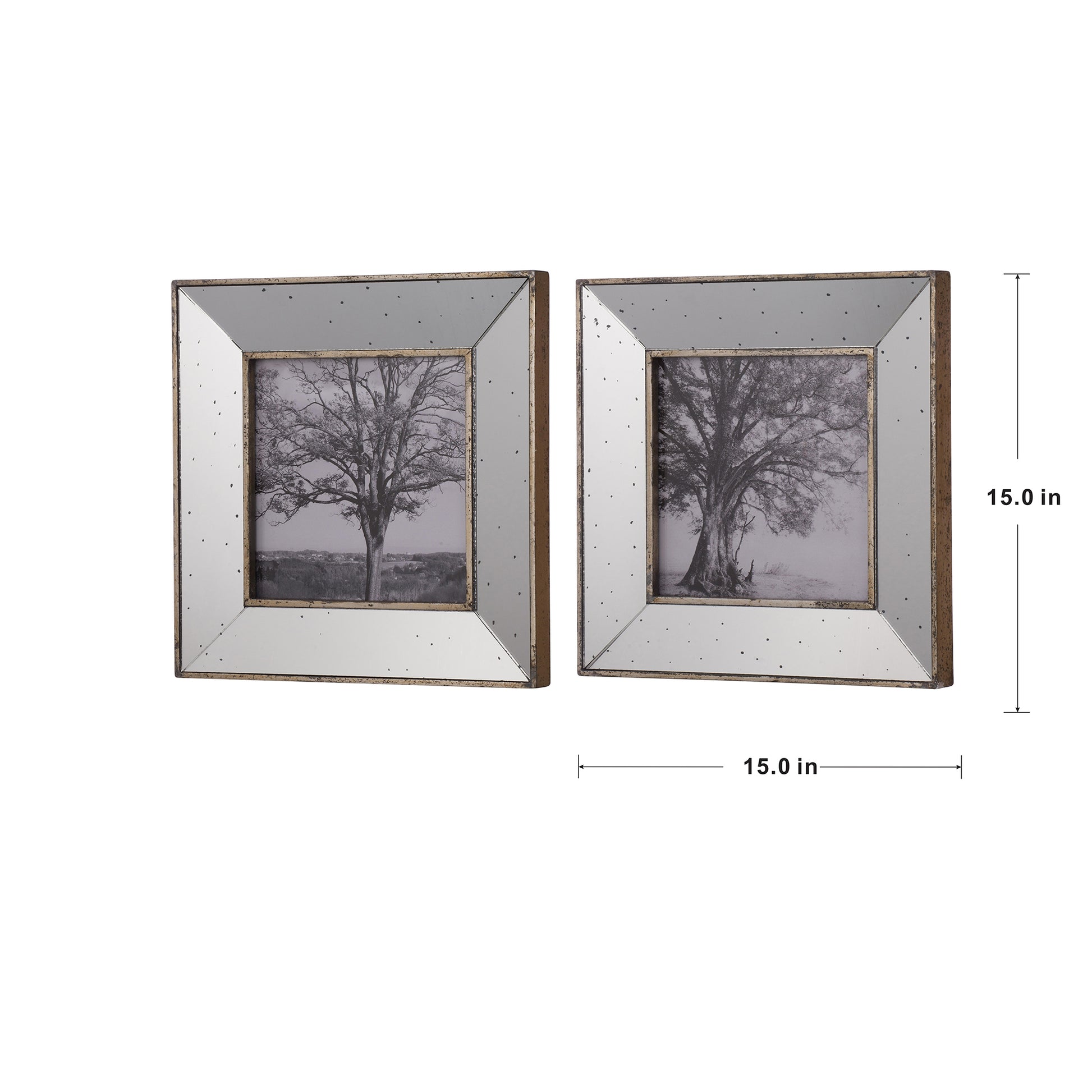 Set of  rustic distressed silver mirrored photo frames with black and white tree art