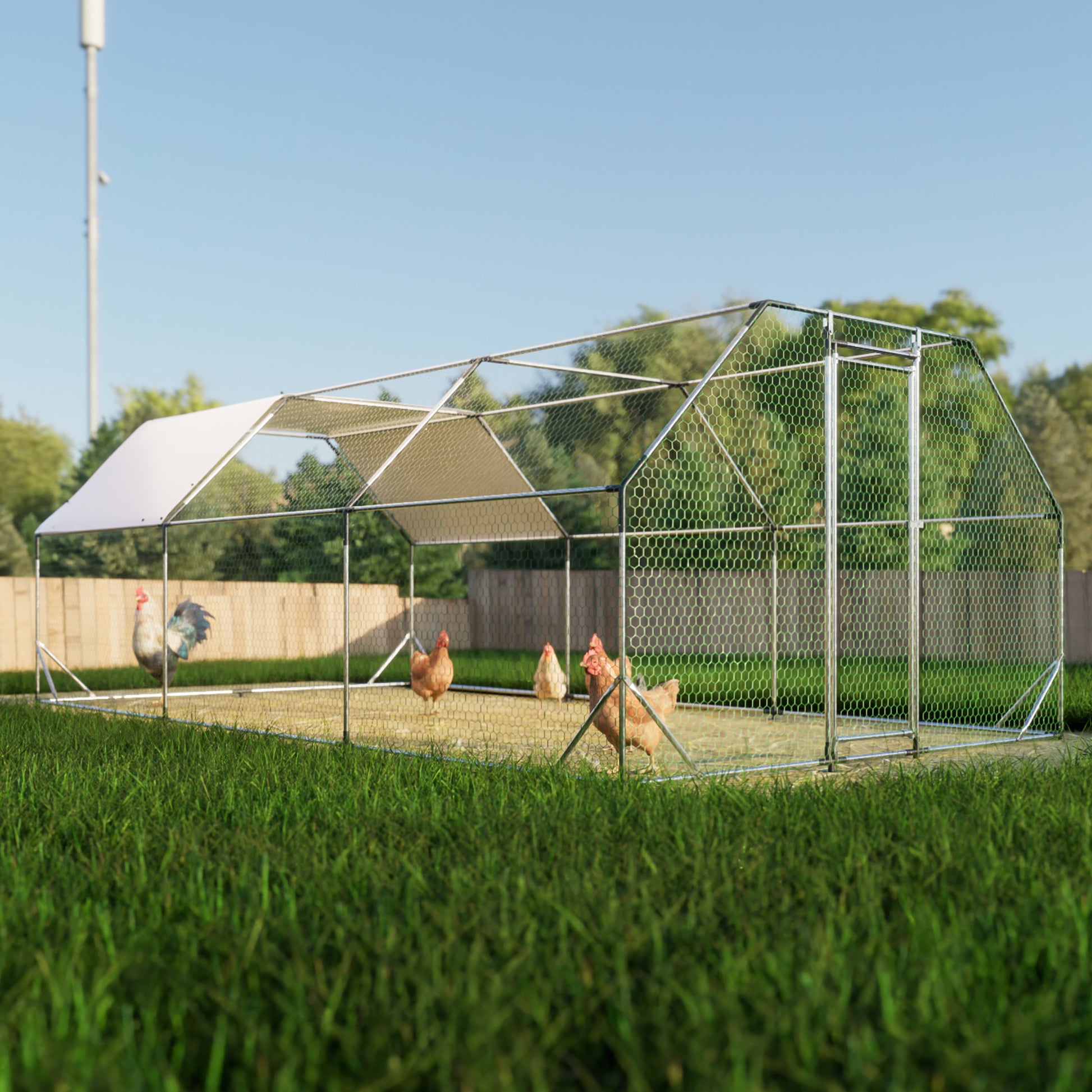 Spacious metal chicken coop with roof ideal for backyard poultry keeping and offering ample outdoor space