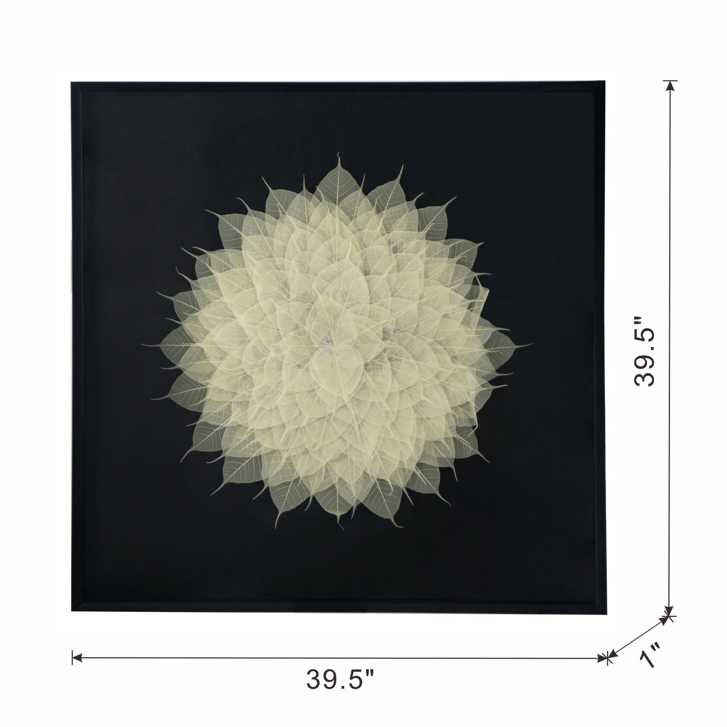 Framed white skeleton leaf wall art botanical mandala design