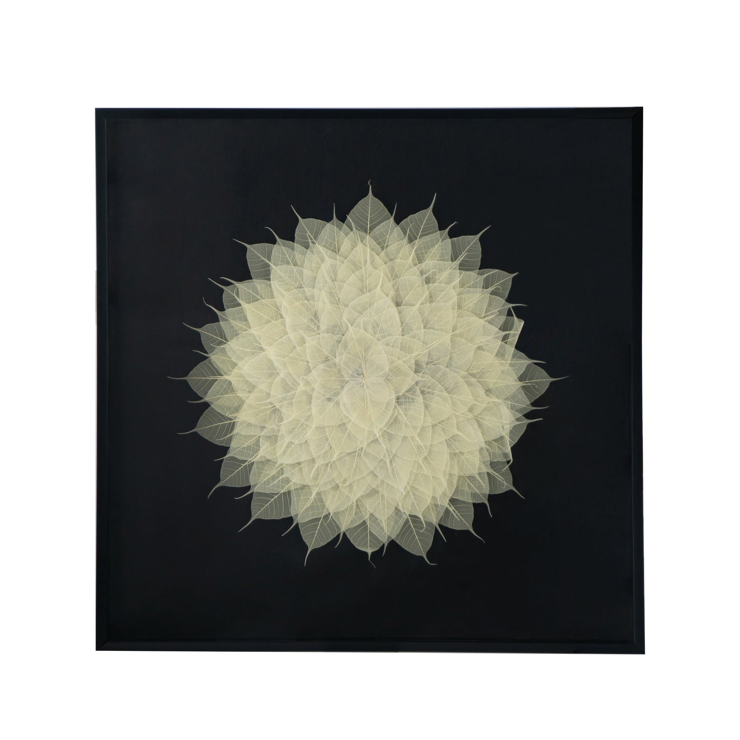 Framed artwork of layered delicate white skeleton leaves forming a mandala pattern on a black background