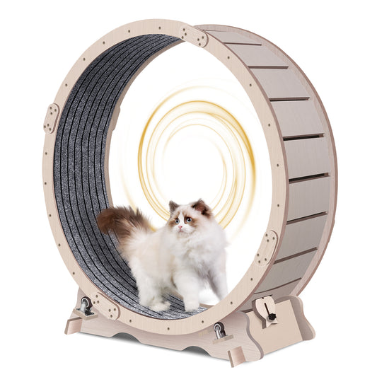 Wooden cat running wheel with grey carpeted surface and a fluffy Ragdoll cat inside