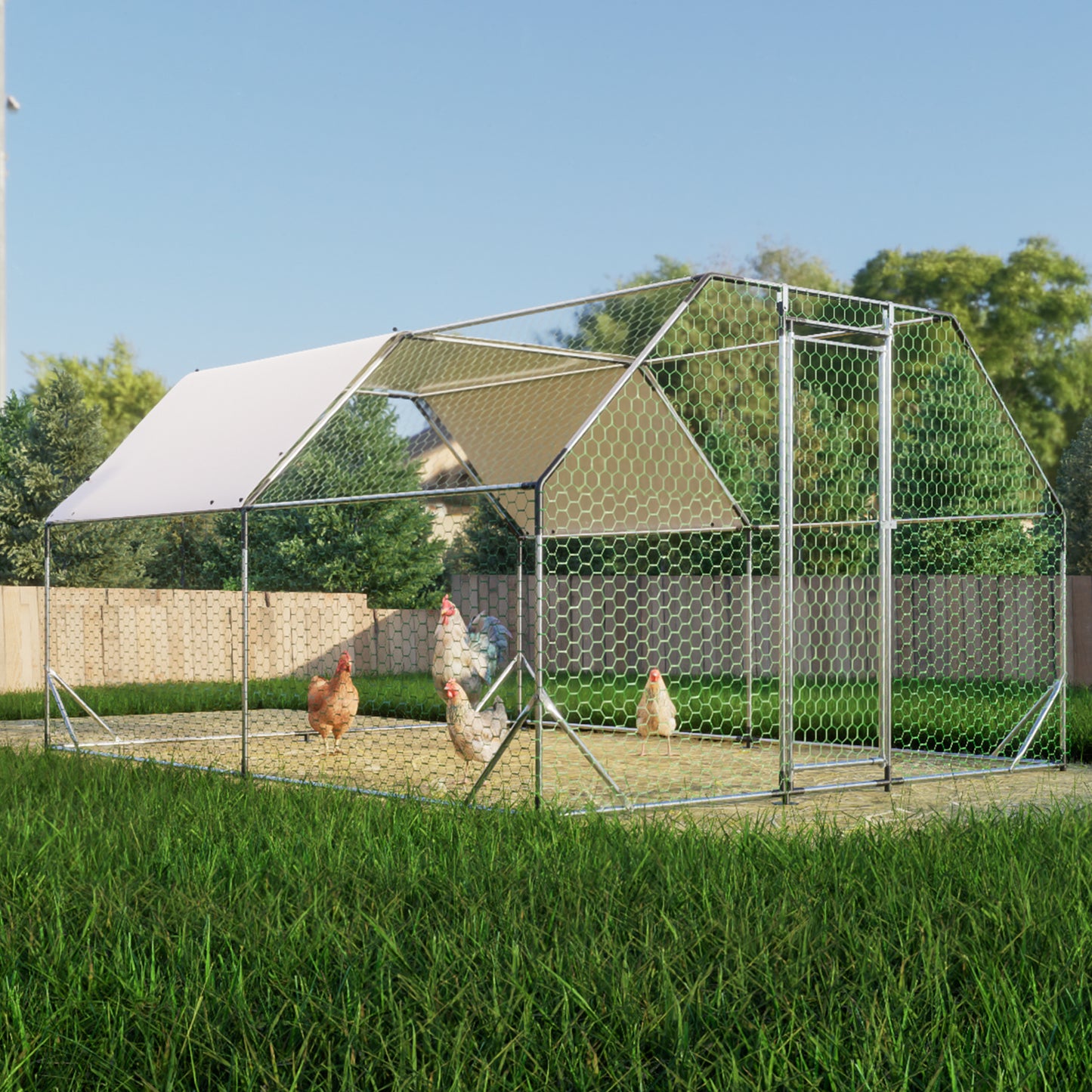 Large metal chicken coop with hexagonal mesh and white roof four hens inside