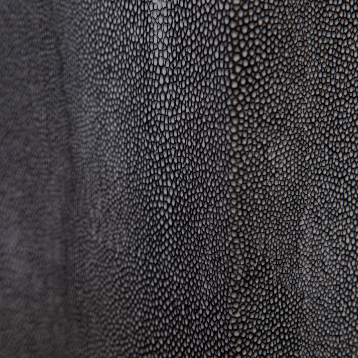 Closeup of black shagreen leather texture ideal for luxury goods