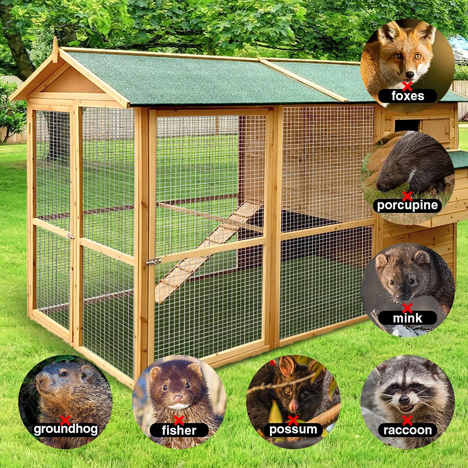 Wooden animal enclosure with green roof and wire mesh preventing foxes