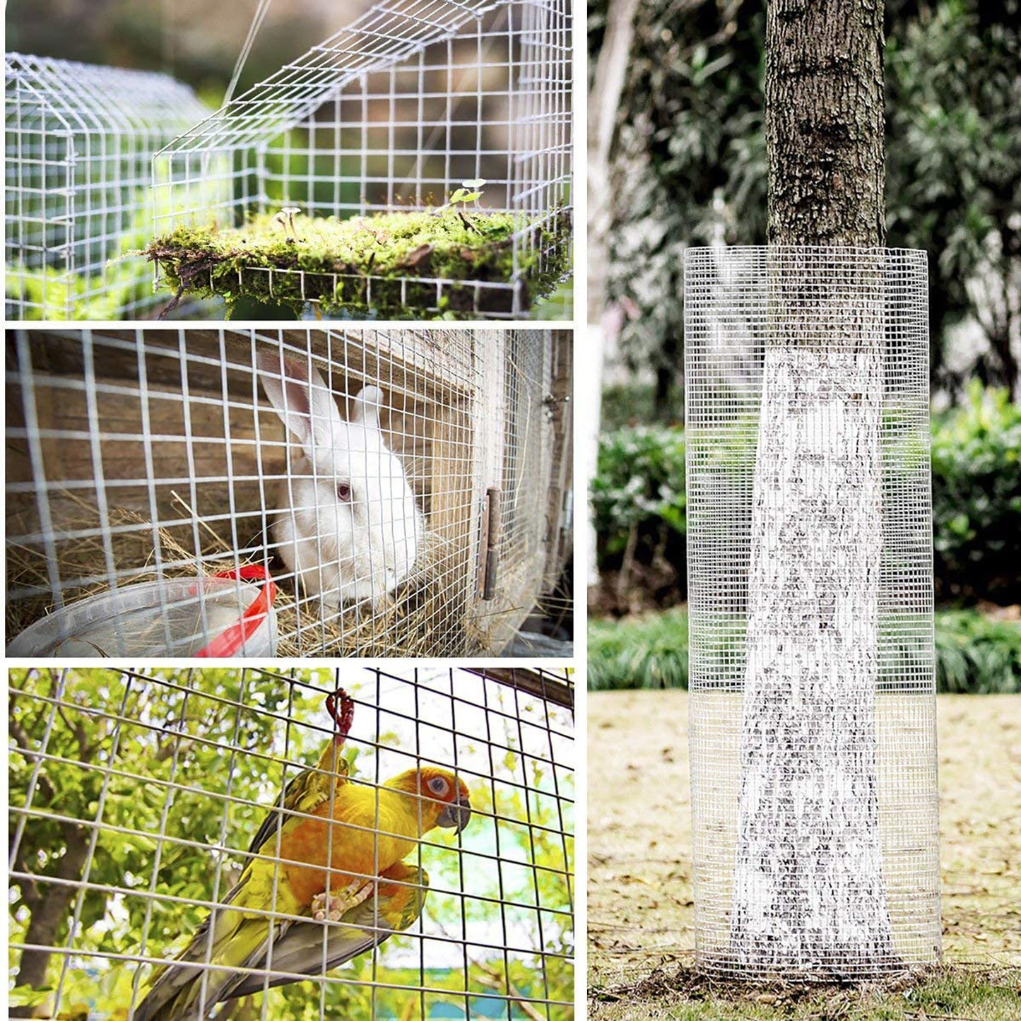 Wire mesh fencing protecting a young tree trunk from damage outdoors