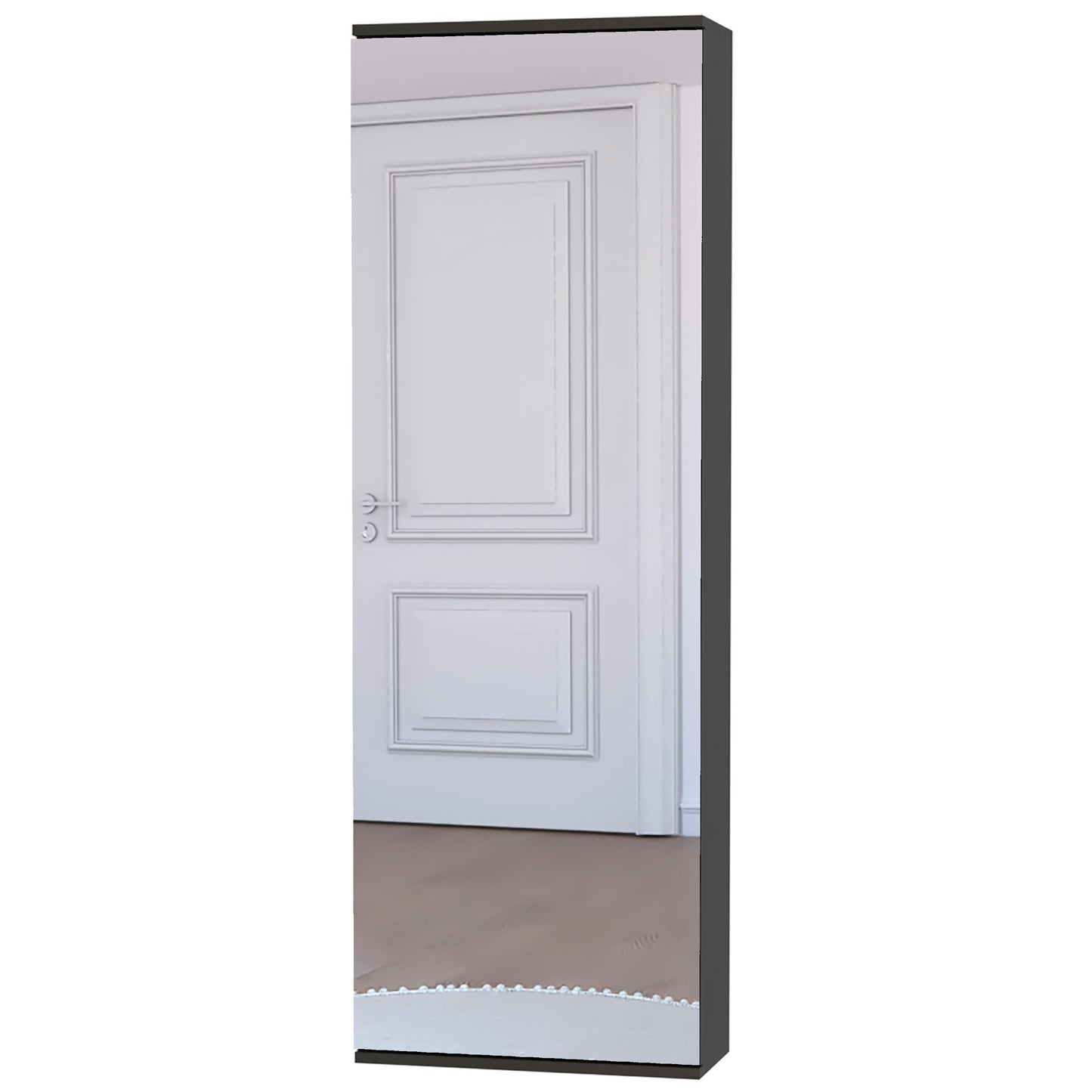 Tall slender black frame with a fulllength mirror reflecting a paneled white door