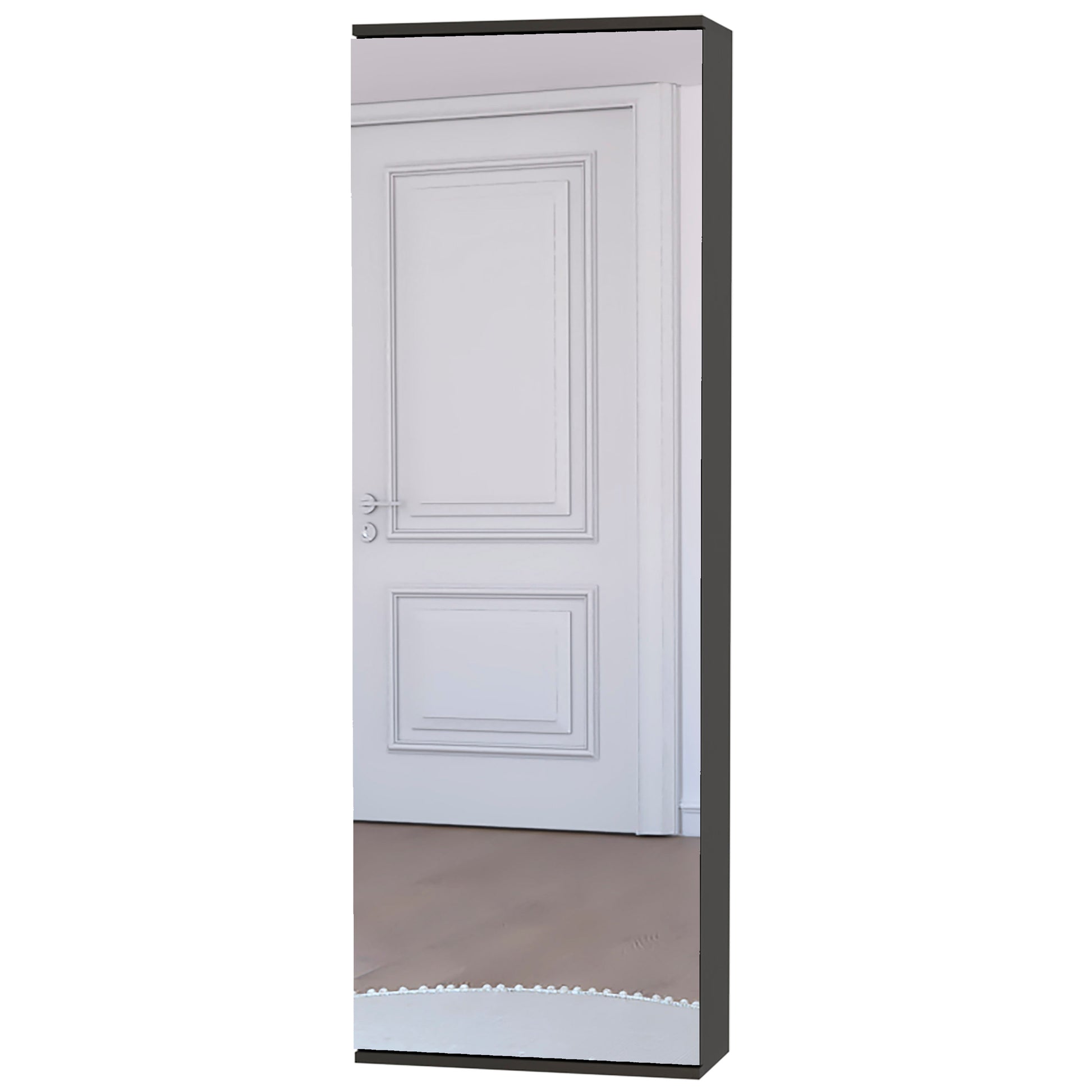 Tall slender black frame with a fulllength mirror reflecting a paneled white door