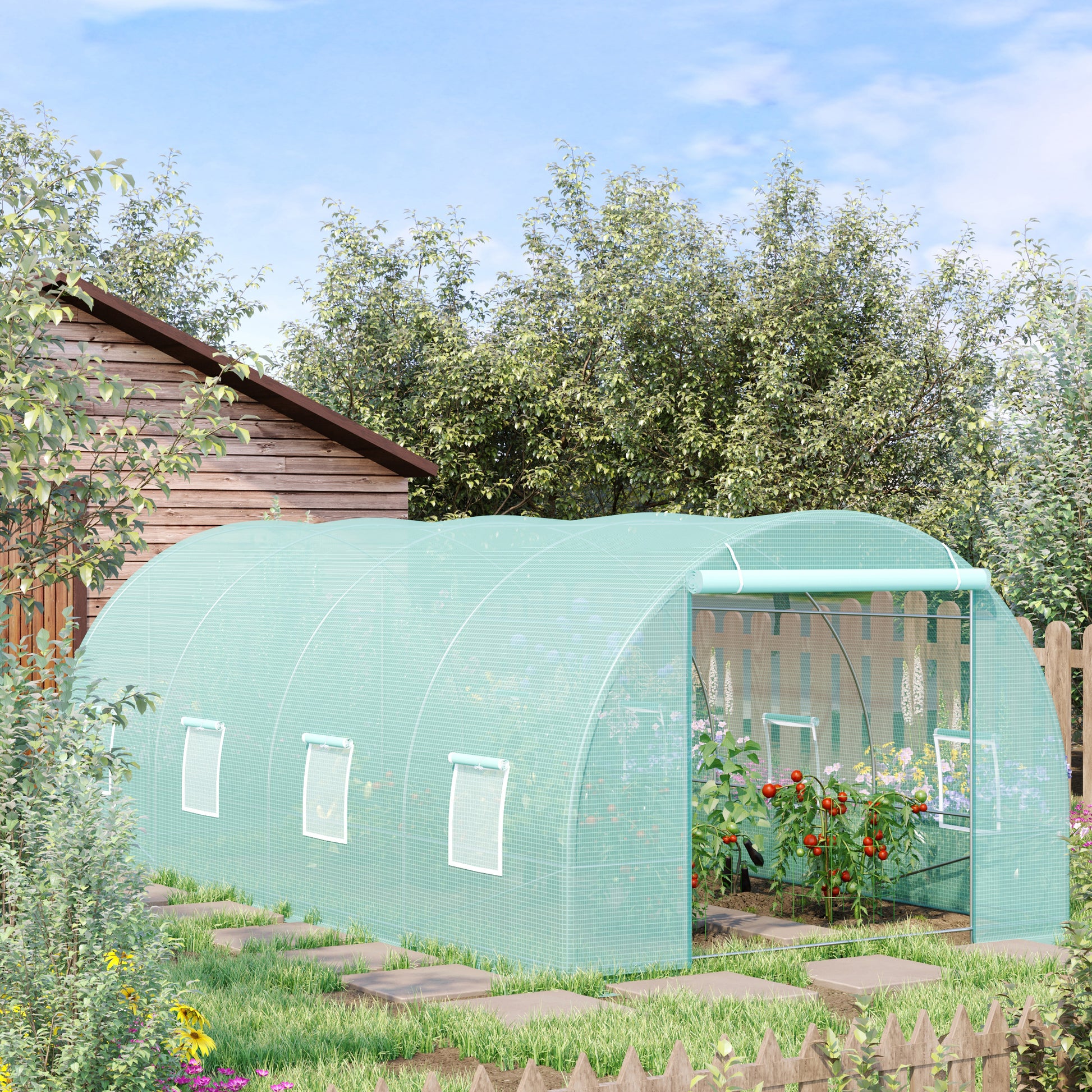 Green walkin greenhouse with rolledup windows and a wooden shed in the background