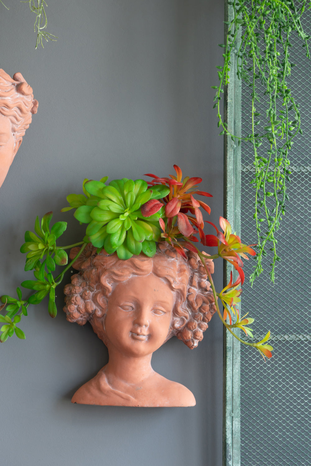 Terracotta bust planter with curly hair holding green and red succulents