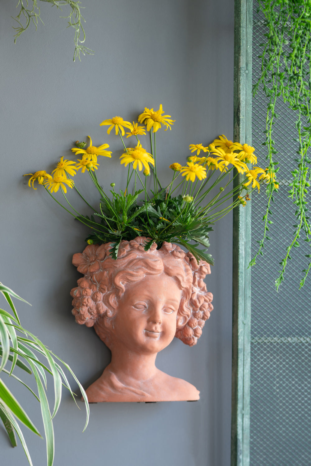 Terracotta wall planter shaped like a childs head filled with yellow daisies