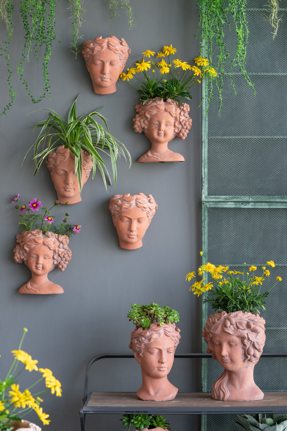 Terracotta bust planter with yellow daisies and greenery