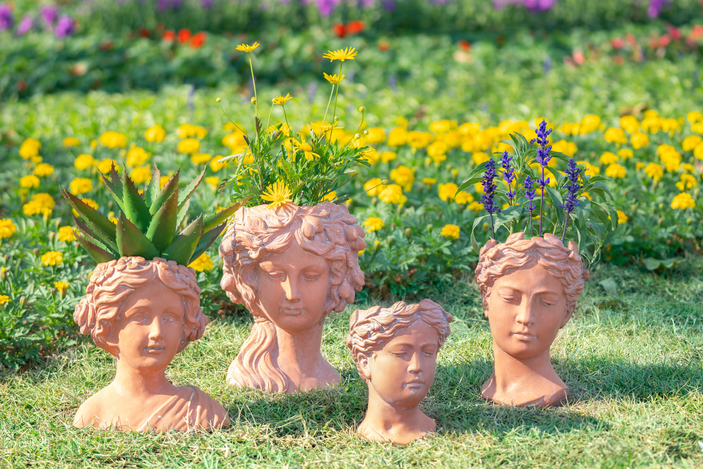 Terracotta bust planter with aloe vera plant for garden decor