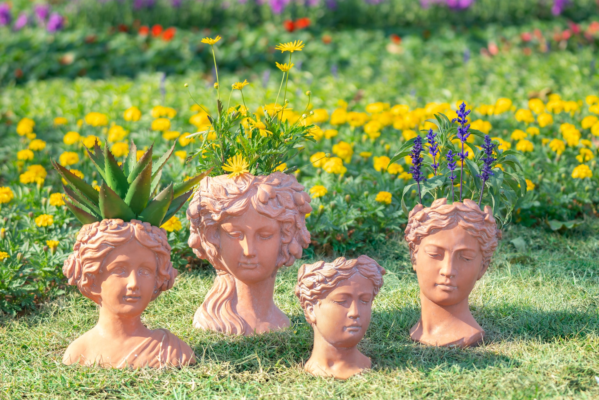 Terracotta bust planter with aloe vera plant for garden decor