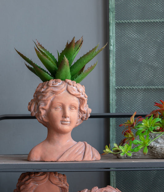 Terracotta bust planter with a neoclassical female design holding green succulent plant